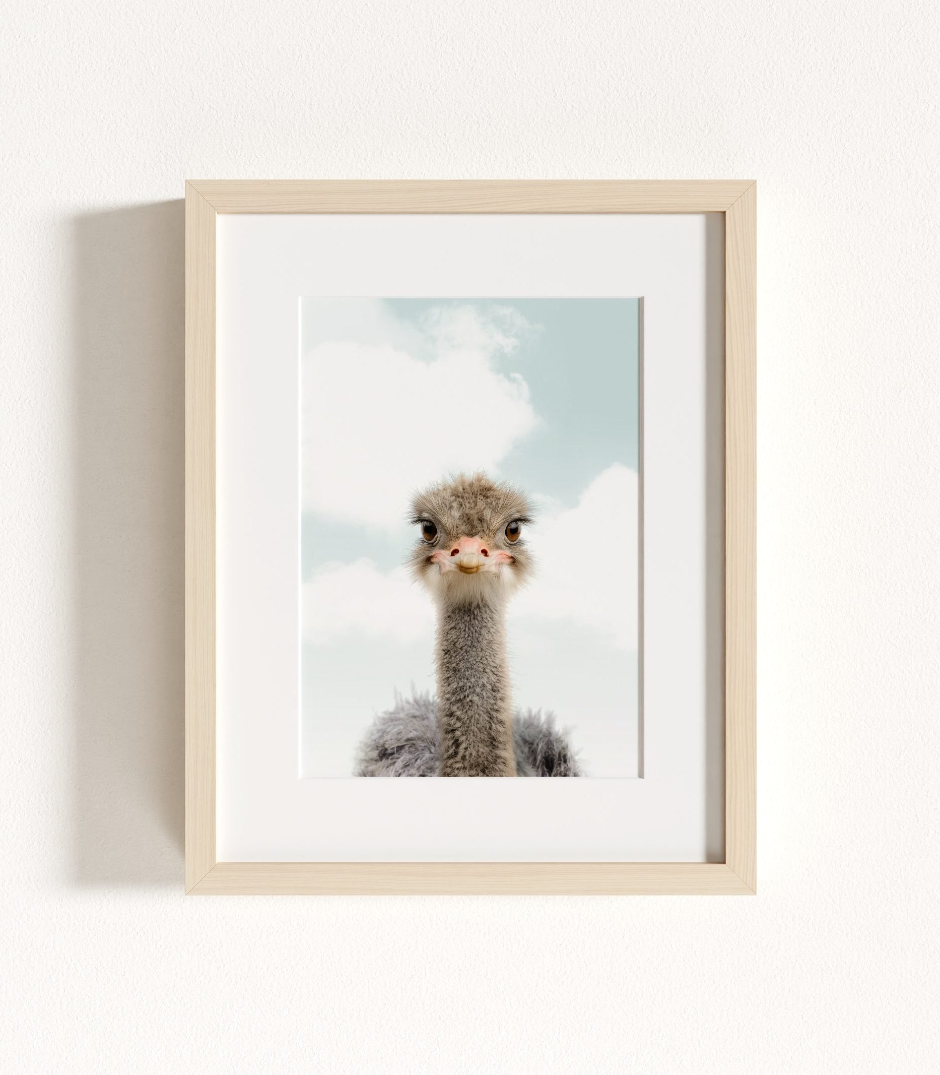 The Baby Animals 2026 Collection - Blue Skies