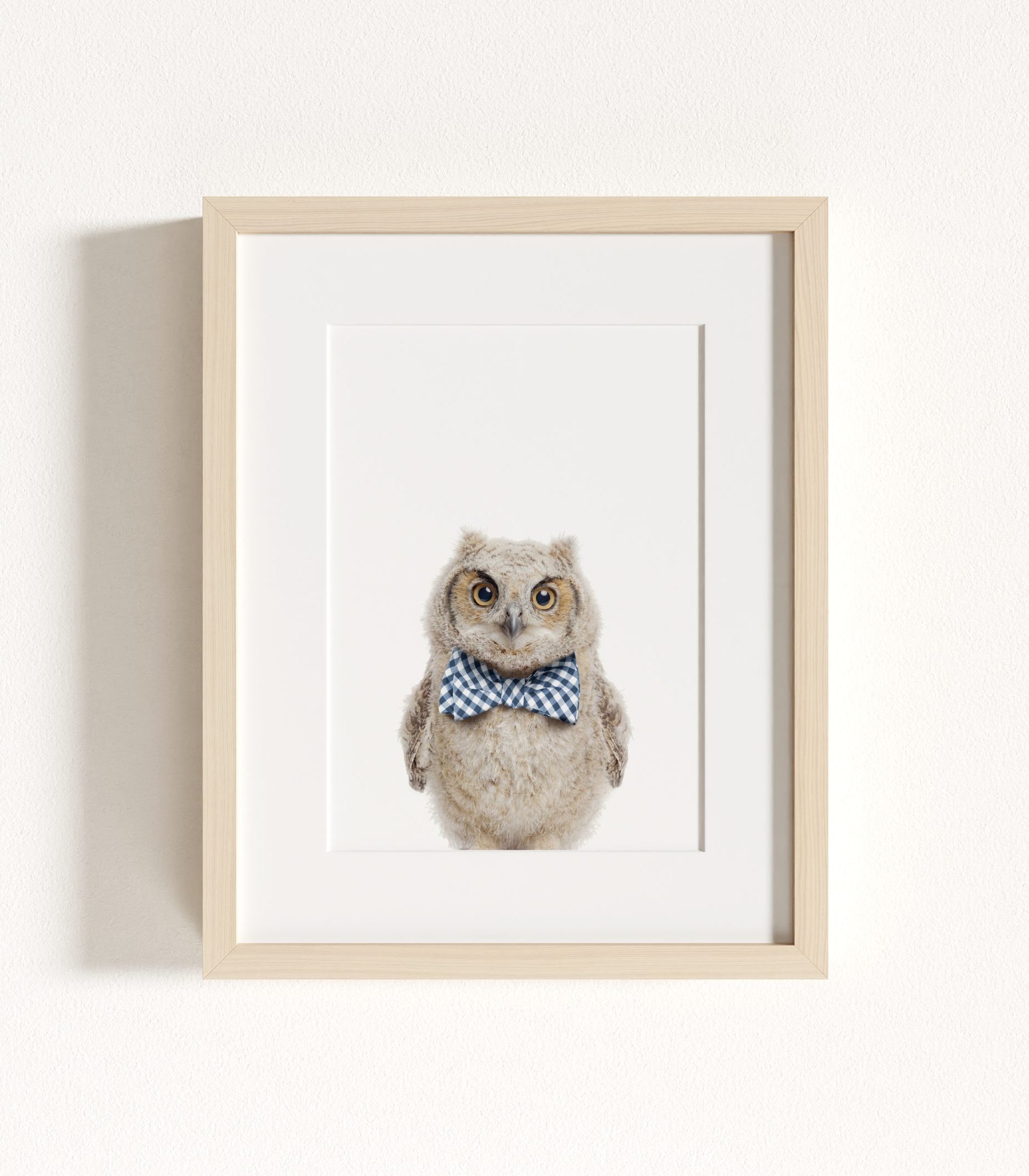 The Baby Animals 2026 Collection - Bow Ties in Blue