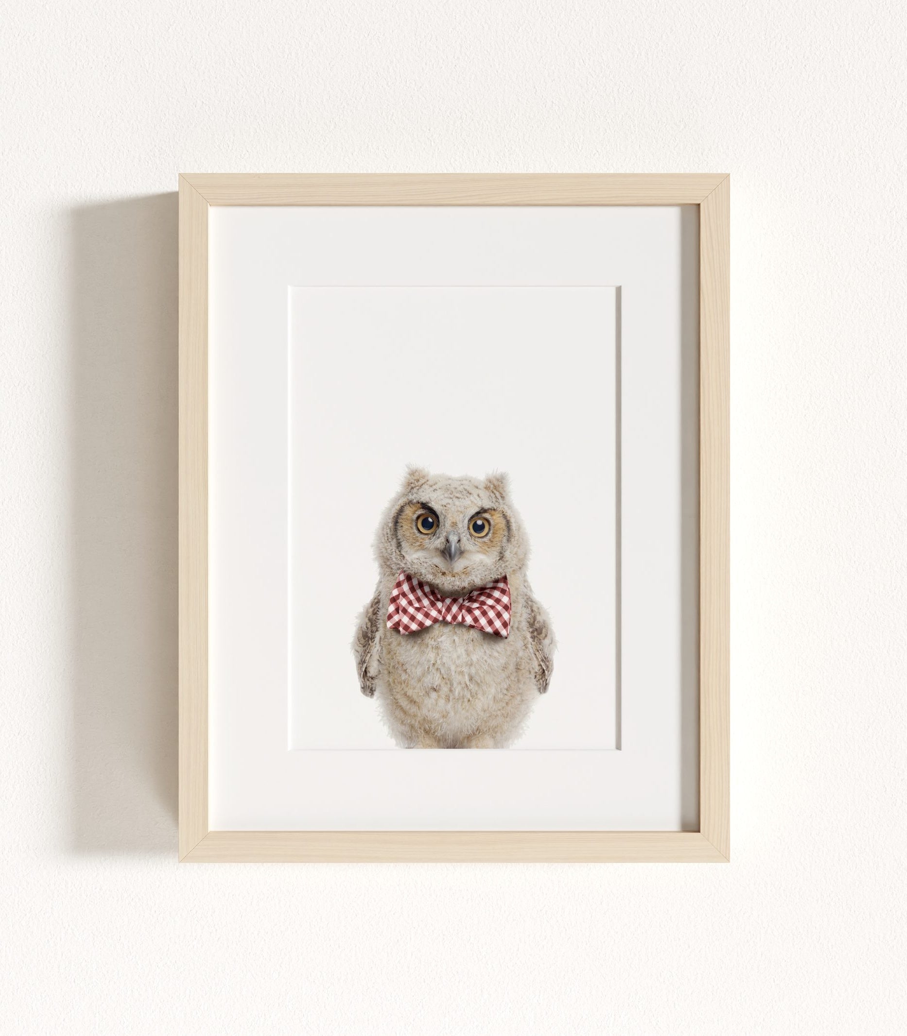 The Baby Animals 2026 Collection - Bow Ties