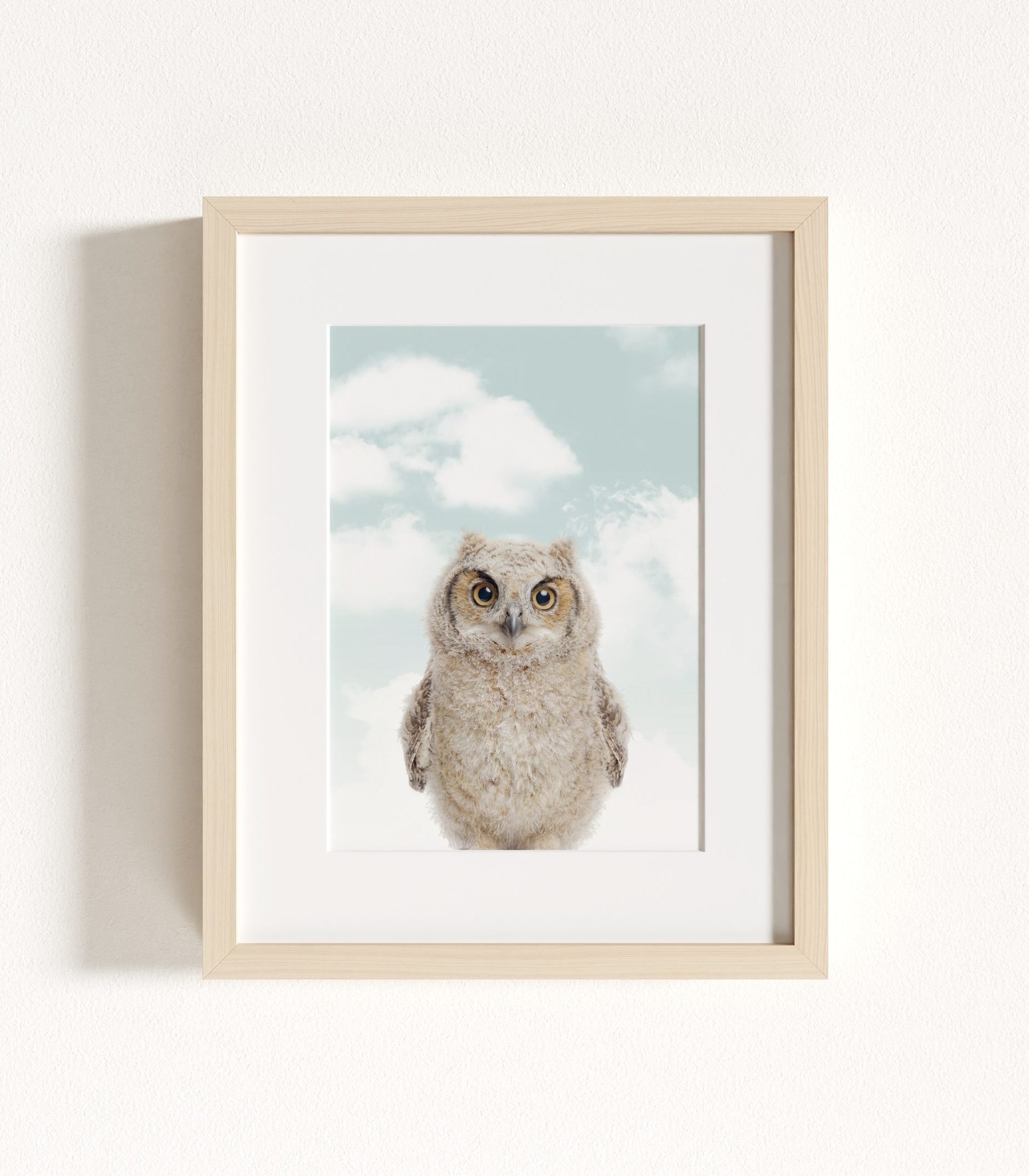 The Baby Animals 2026 Collection - Blue Skies