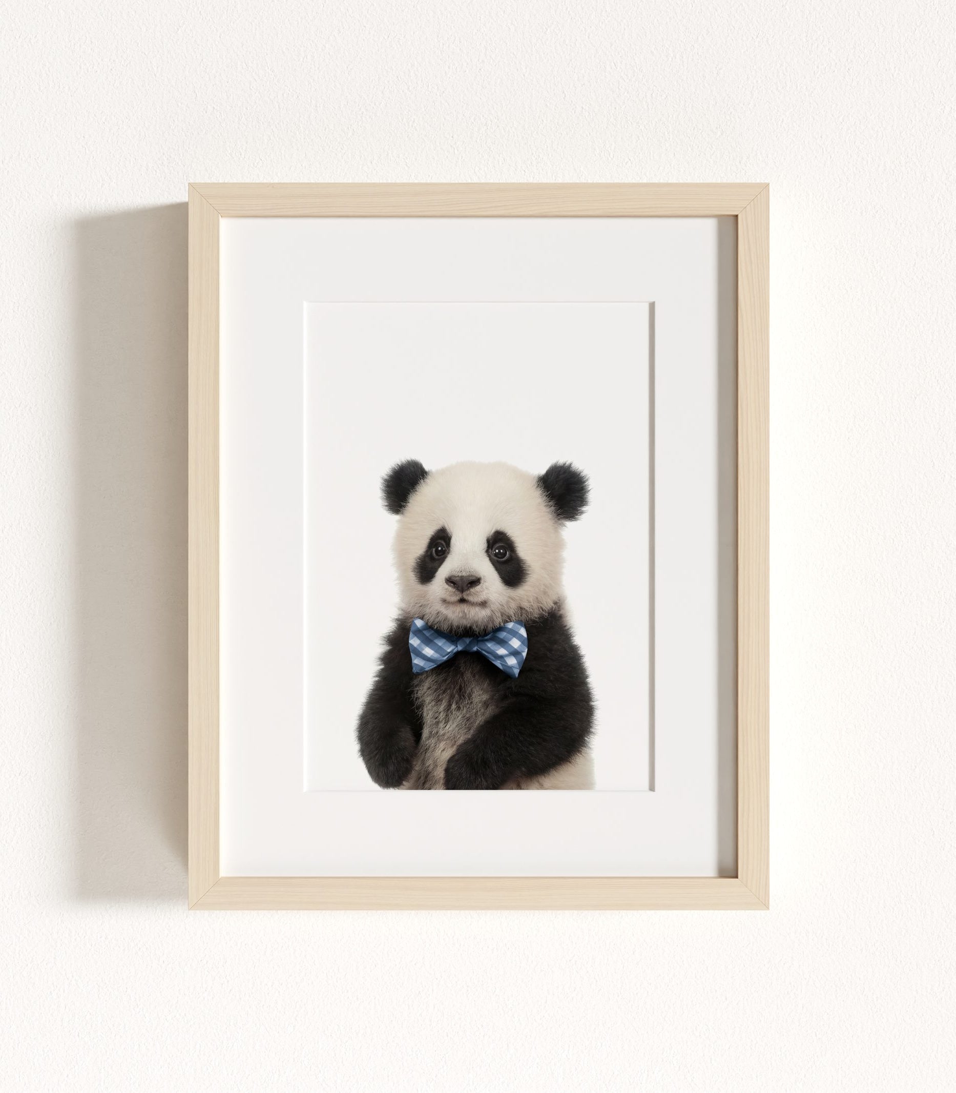 The Baby Animals 2026 Collection - Bow Ties in Blue