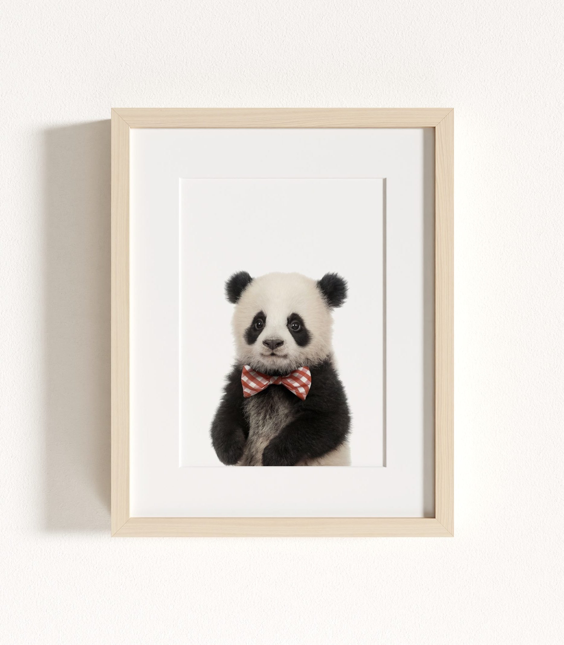 The Baby Animals 2026 Collection - Bow Ties