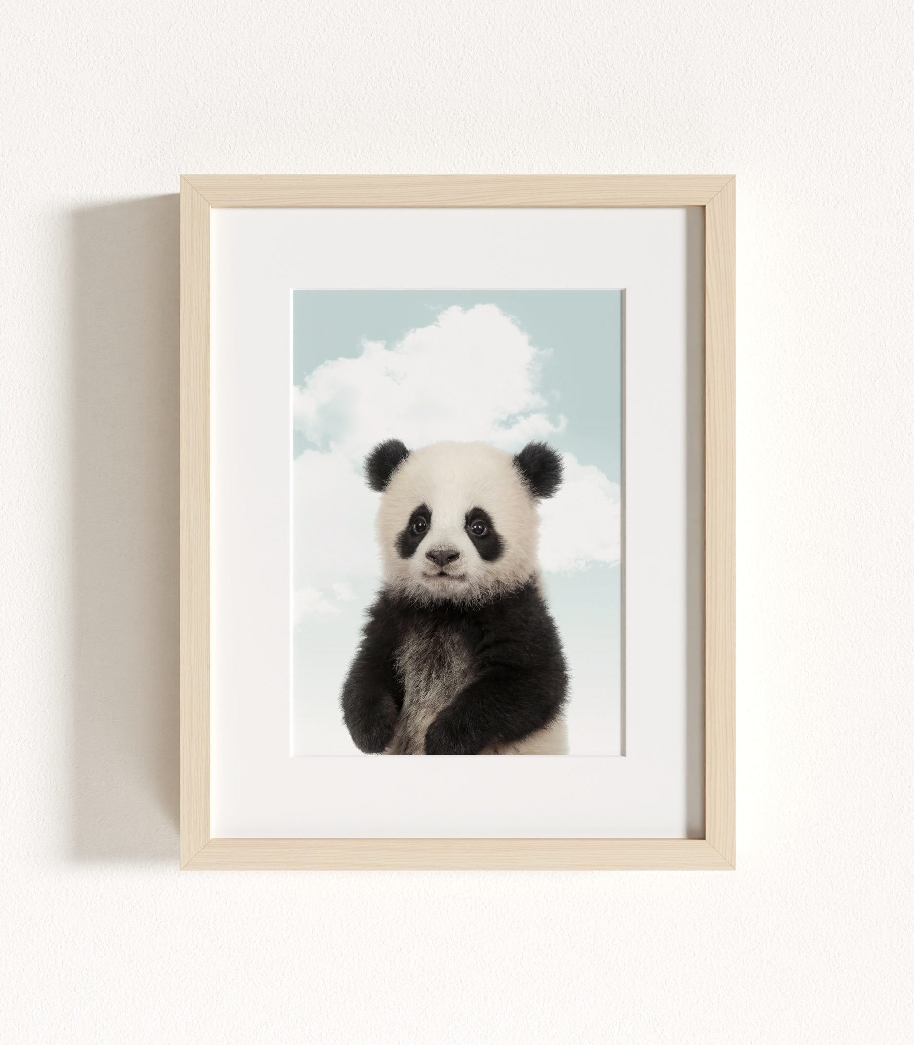 The Baby Animals 2026 Collection - Blue Skies