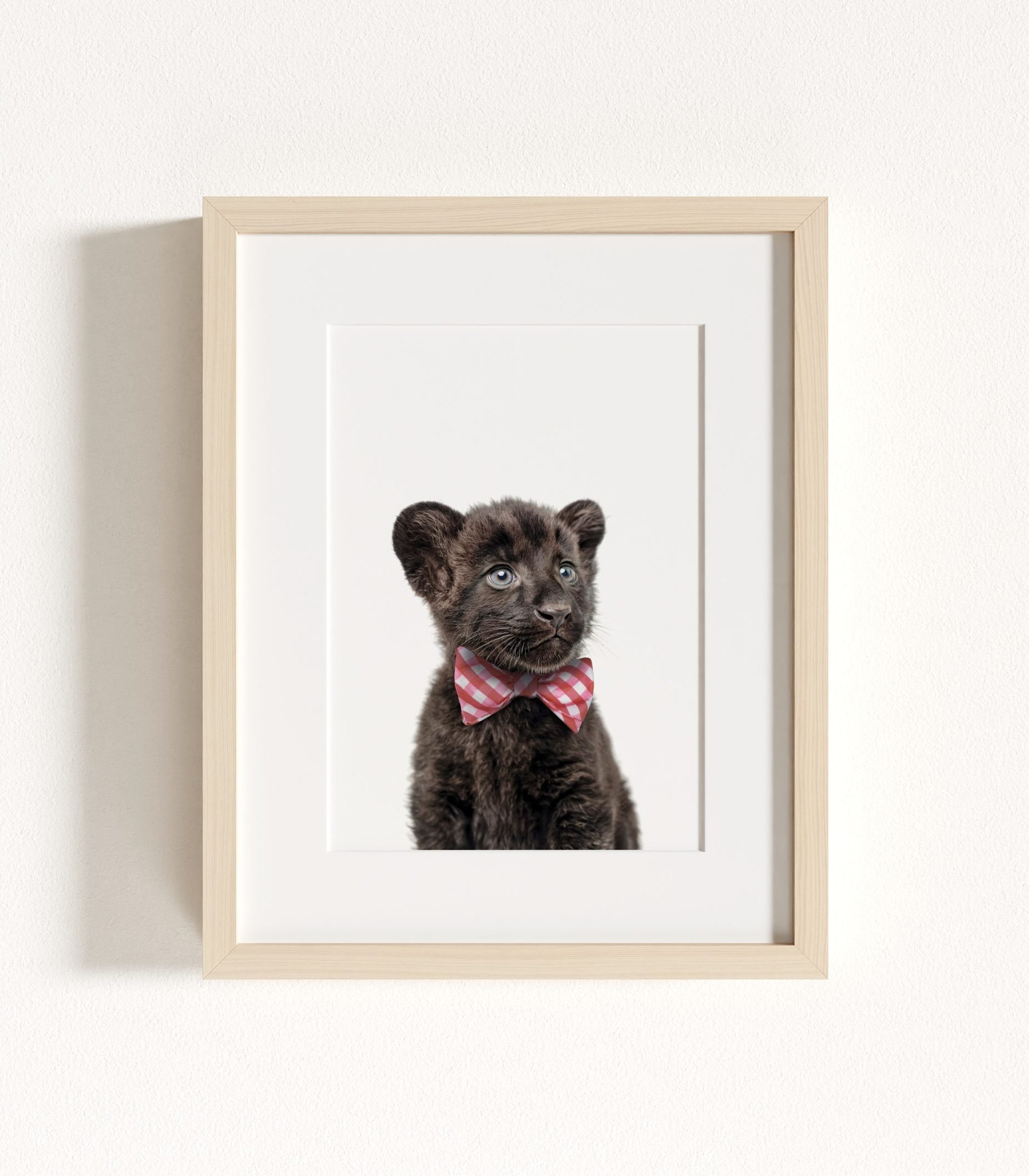 The Baby Animals 2026 Collection - Bow Ties