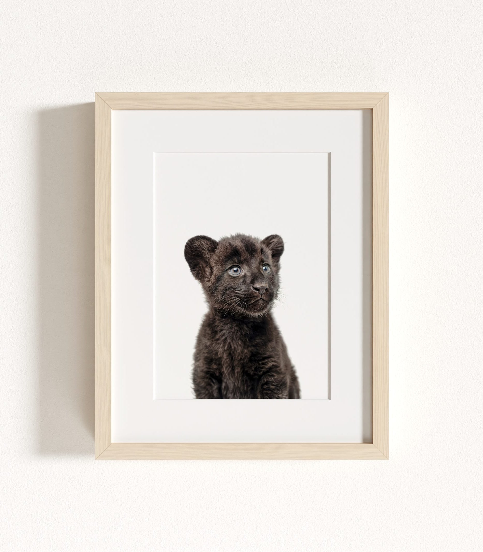 The Baby Animals 2026 Collection - Classic