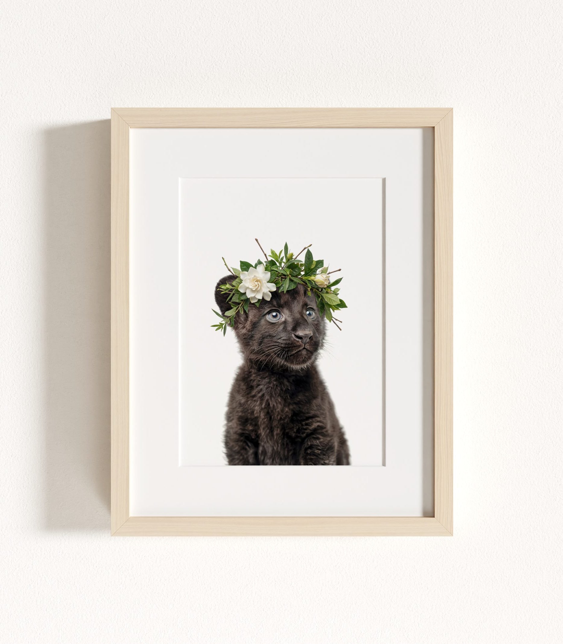 The Baby Animals 2026 Collection - Flower Crowns