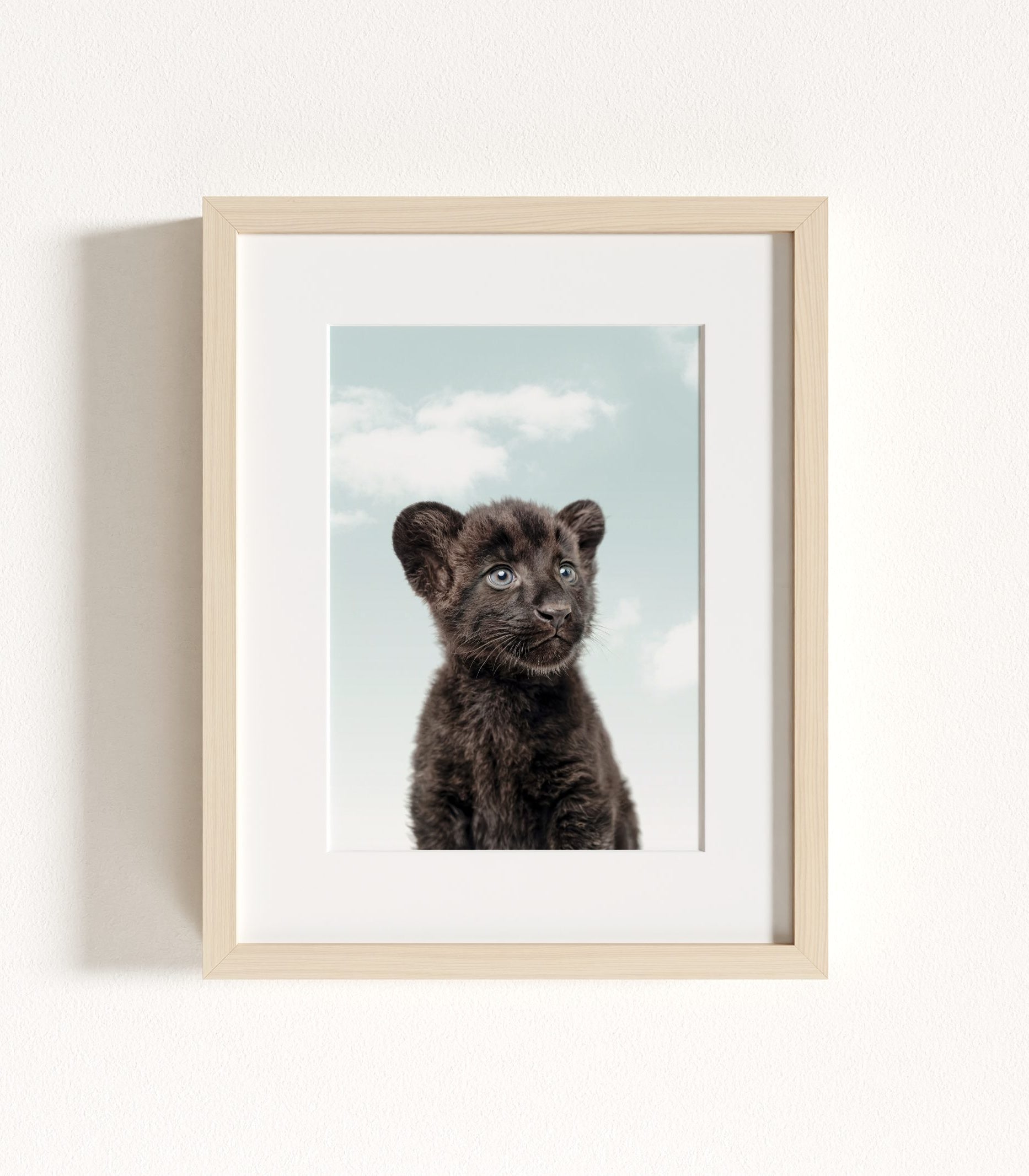 The Baby Animals 2026 Collection - Blue Skies