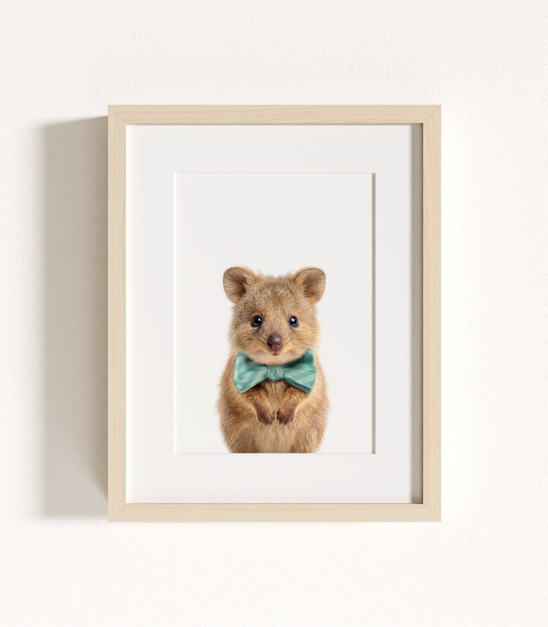 The Baby Animals 2026 Collection - Bow Ties