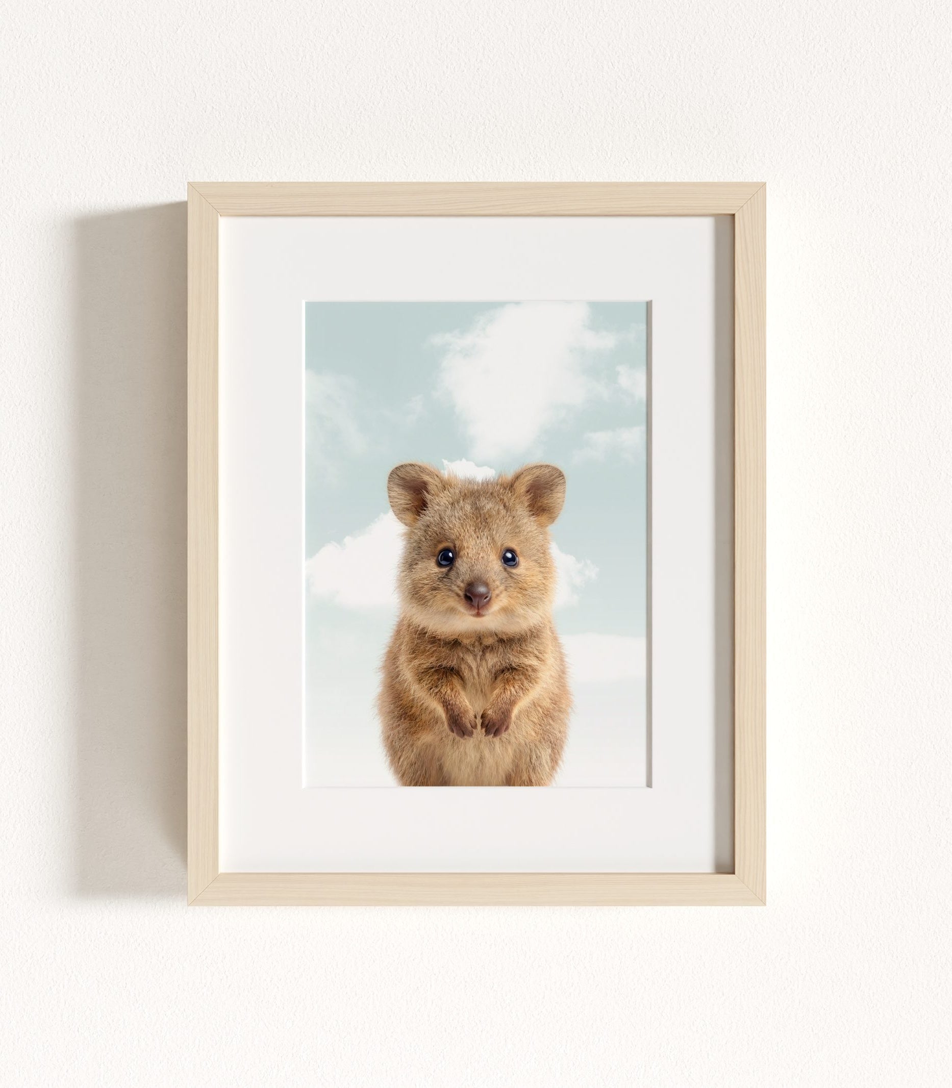 The Baby Animals 2026 Collection - Blue Skies