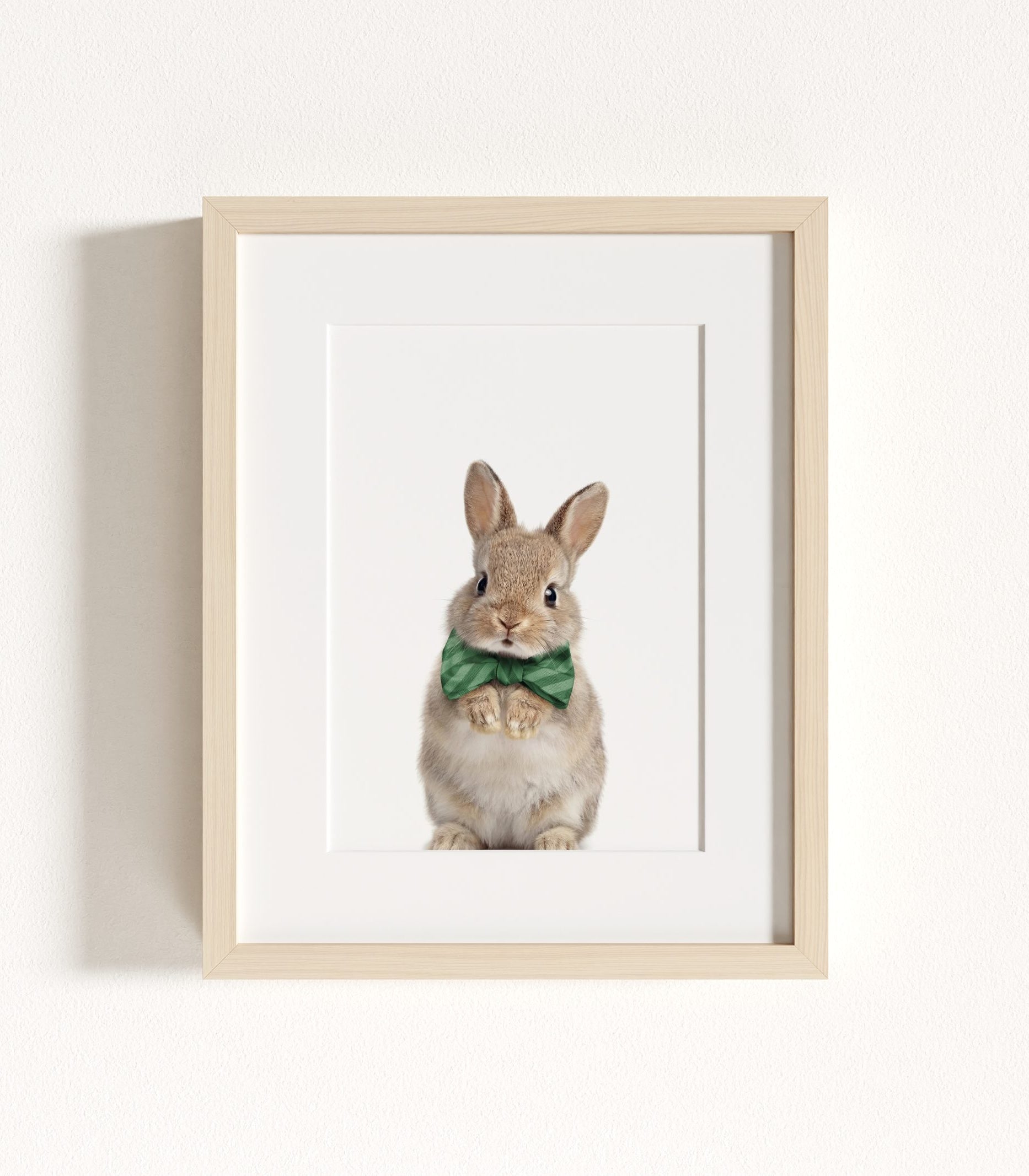 The Baby Animals 2026 Collection - Bow Ties