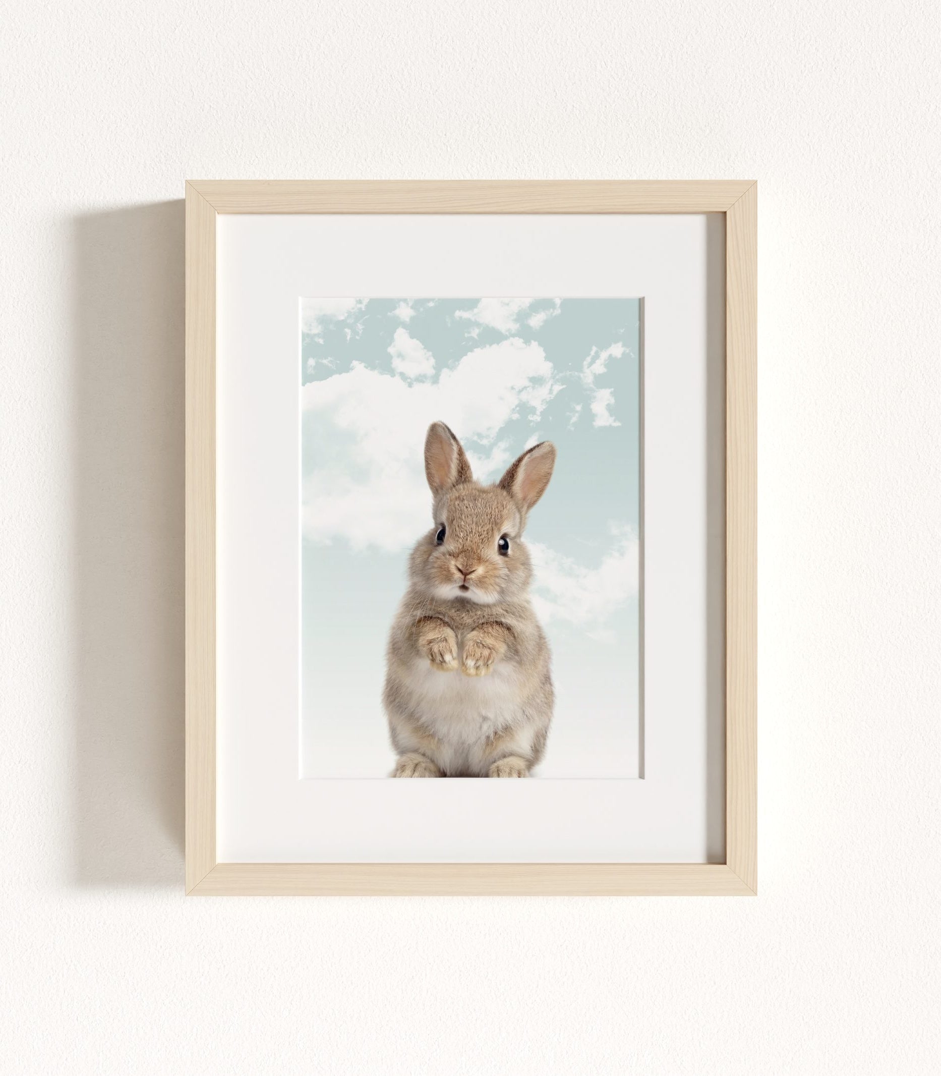 The Baby Animals 2026 Collection - Blue Skies