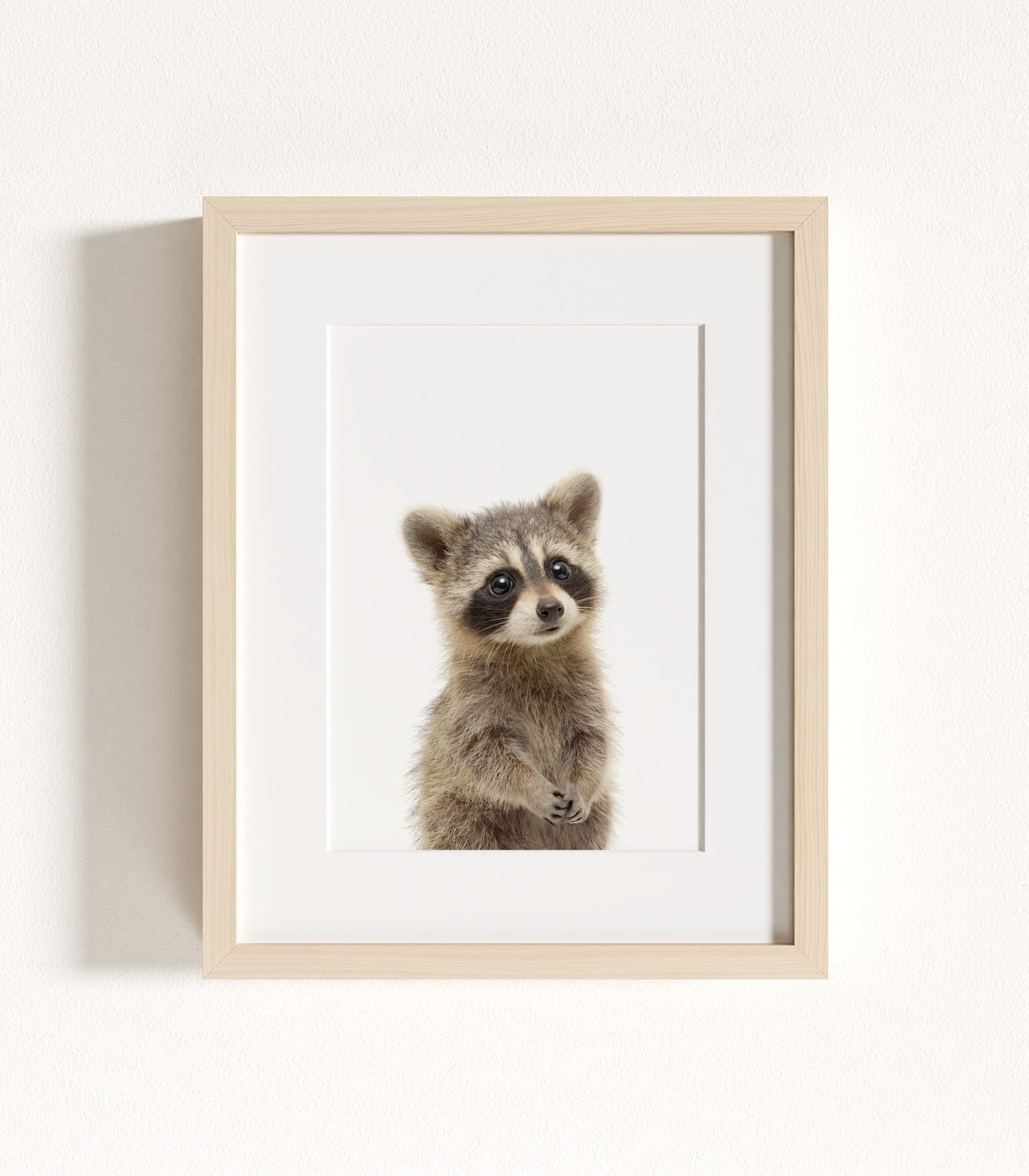 The Baby Animals 2026 Collection - Classic