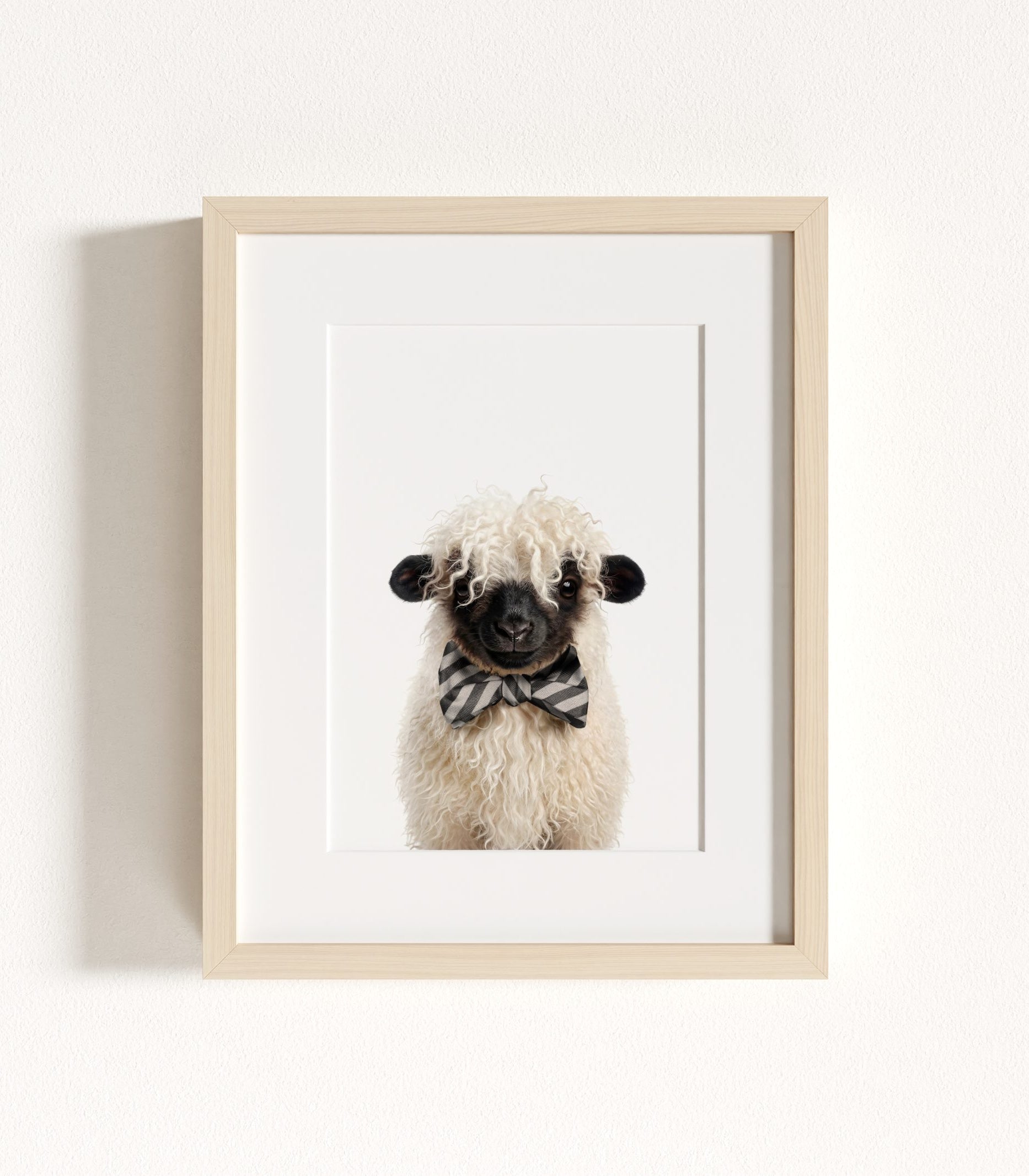 The Baby Animals 2026 Collection - Bow Ties