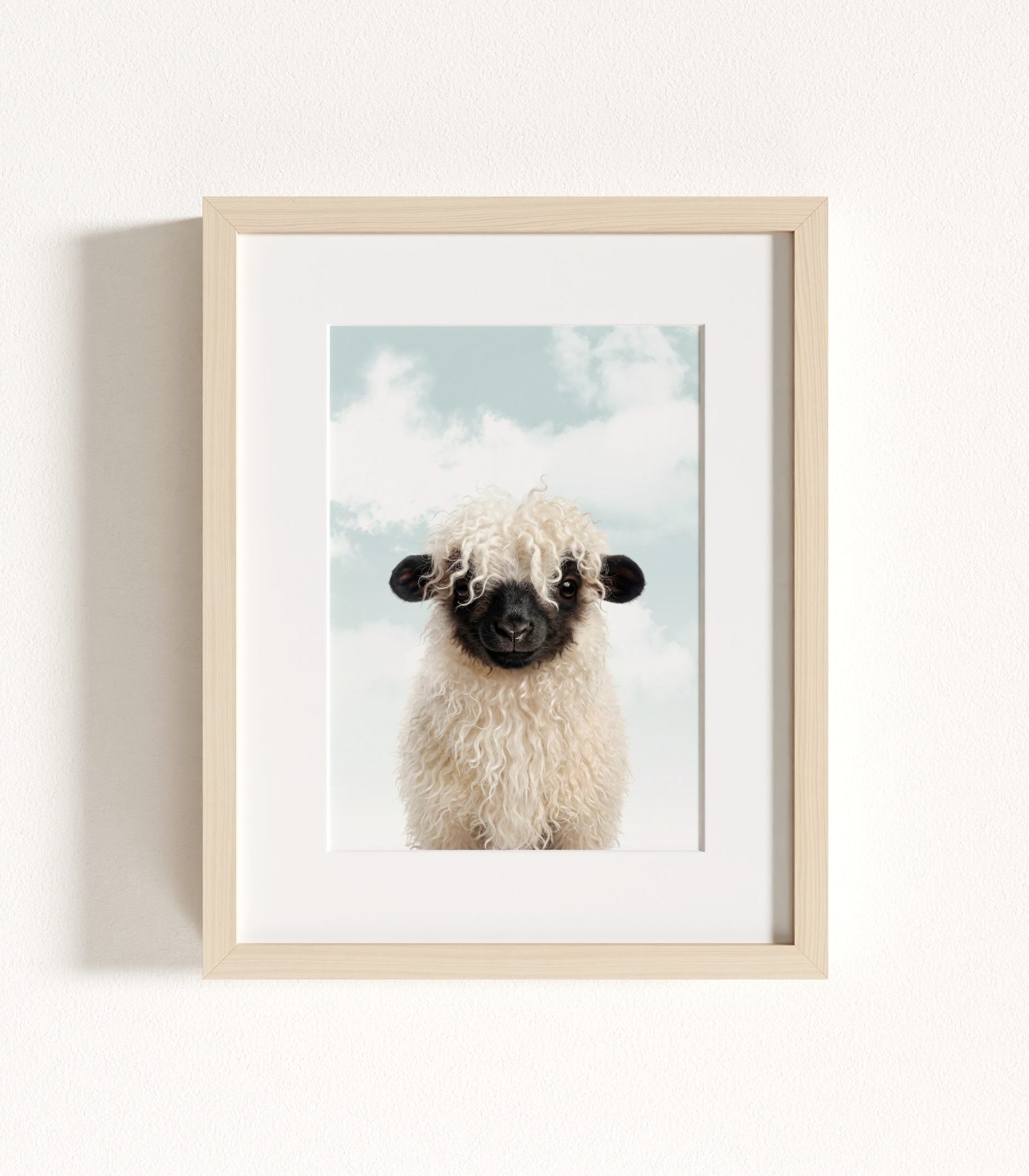 The Baby Animals 2026 Collection - Blue Skies