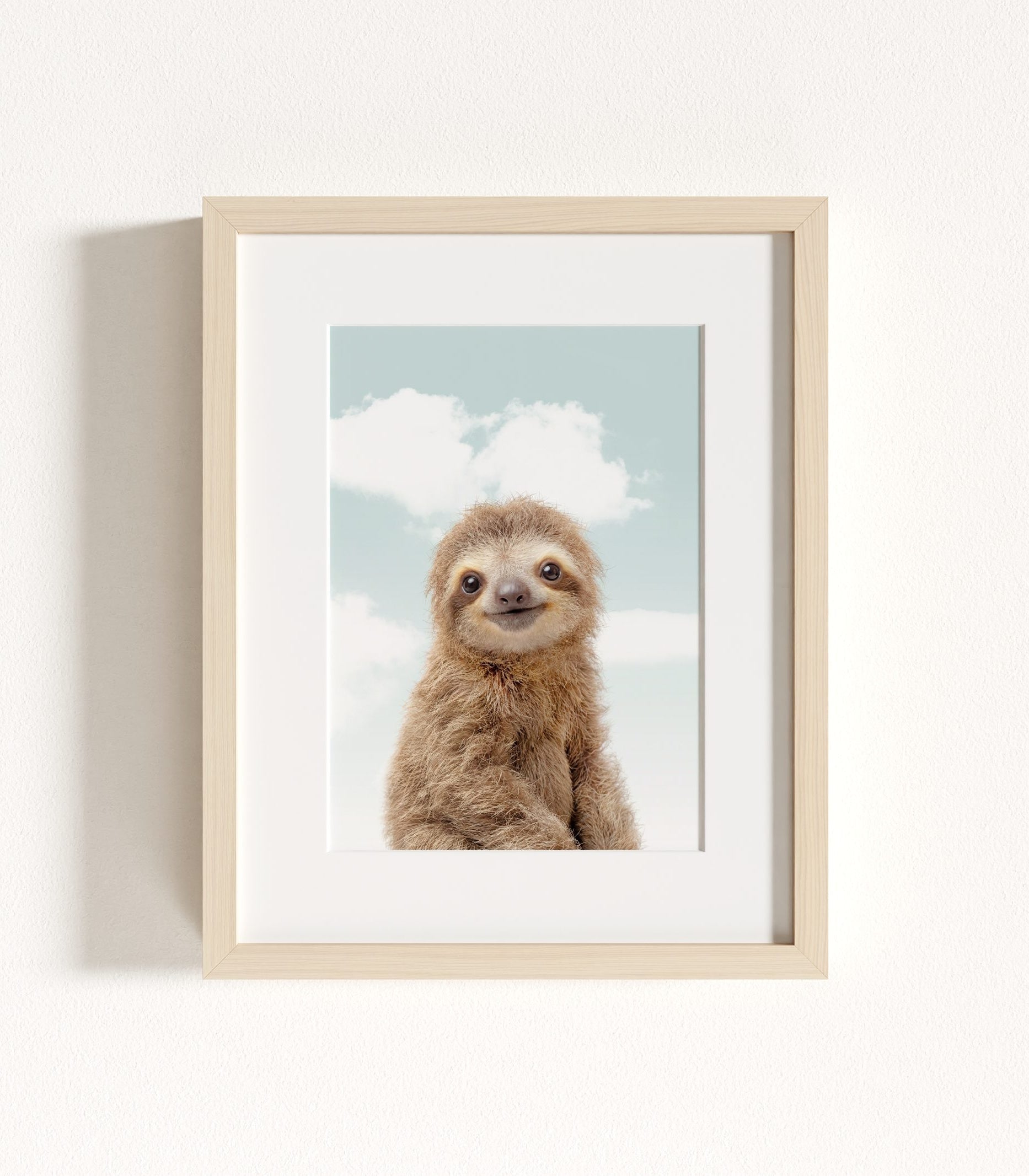 The Baby Animals 2026 Collection - Blue Skies