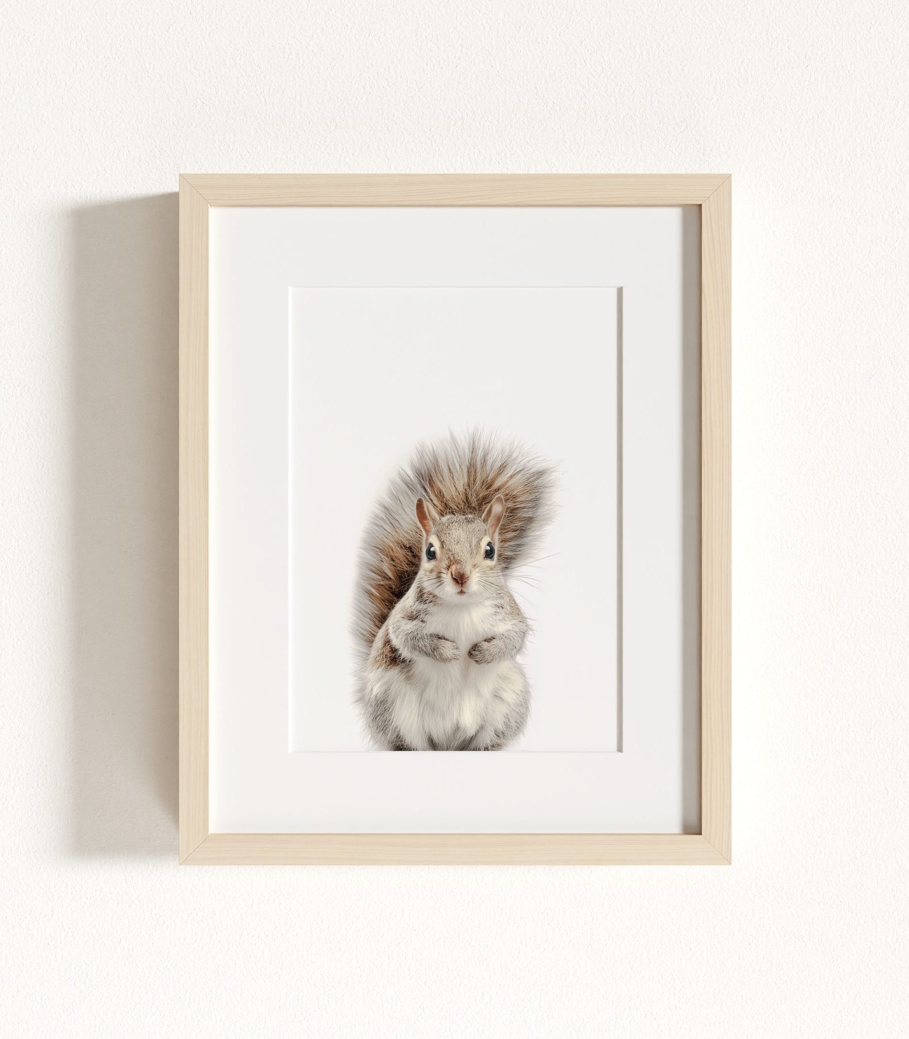 The Baby Animals 2026 Collection - Classic