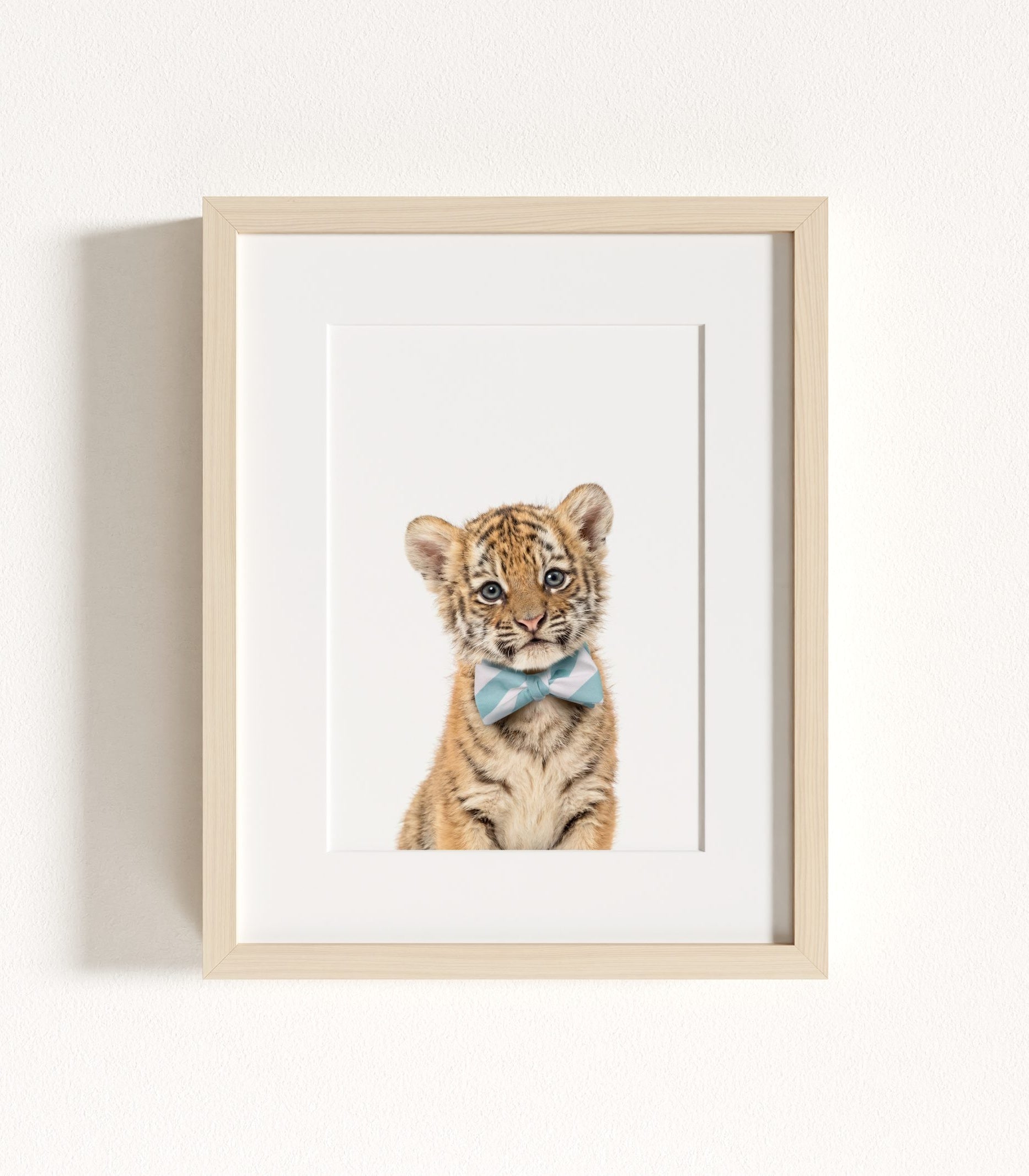 The Baby Animals 2026 Collection - Bow Ties