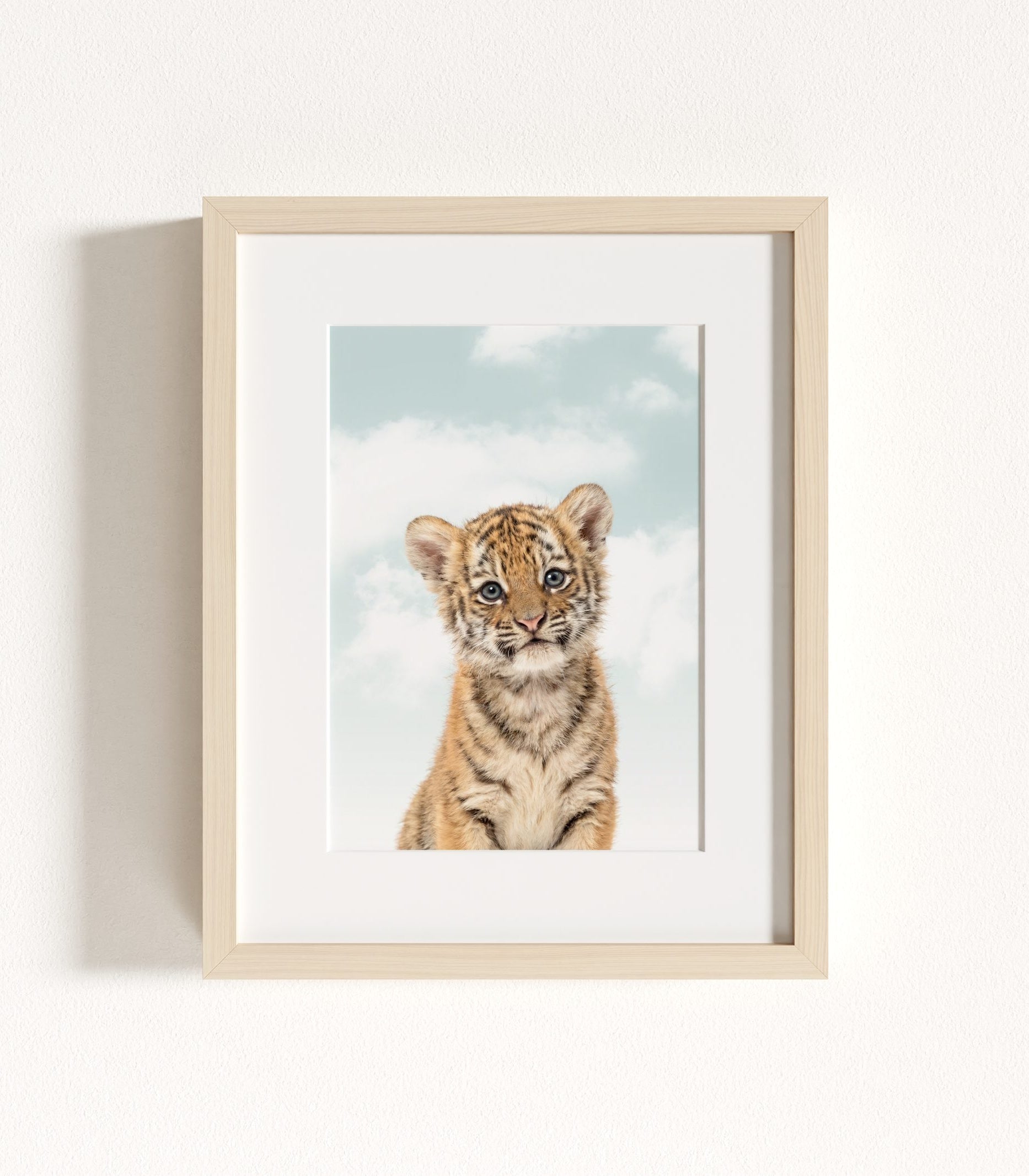 The Baby Animals 2026 Collection - Blue Skies