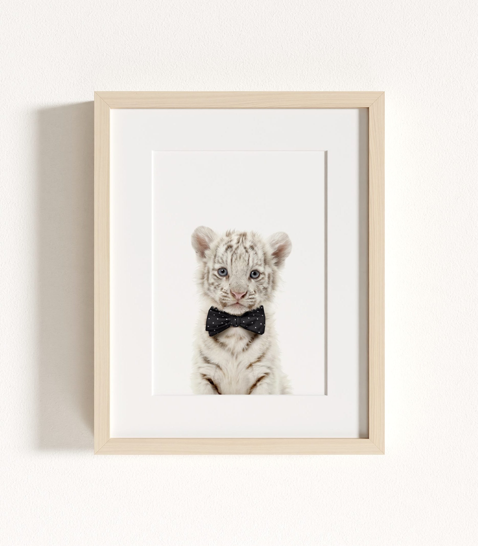 The Baby Animals 2026 Collection - Bow Ties
