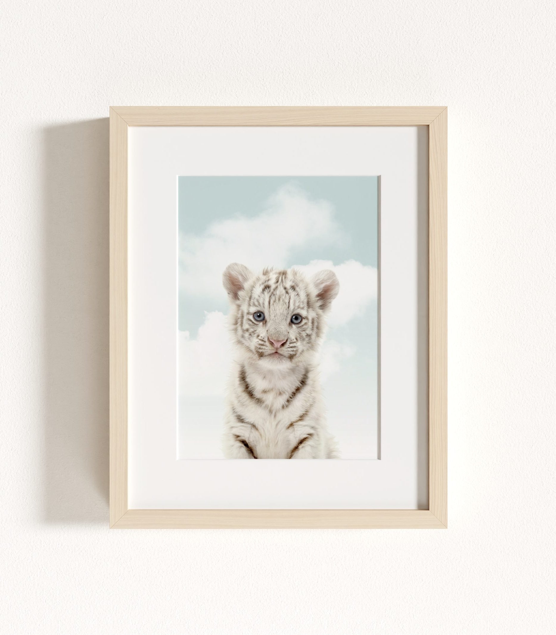 The Baby Animals 2026 Collection - Blue Skies