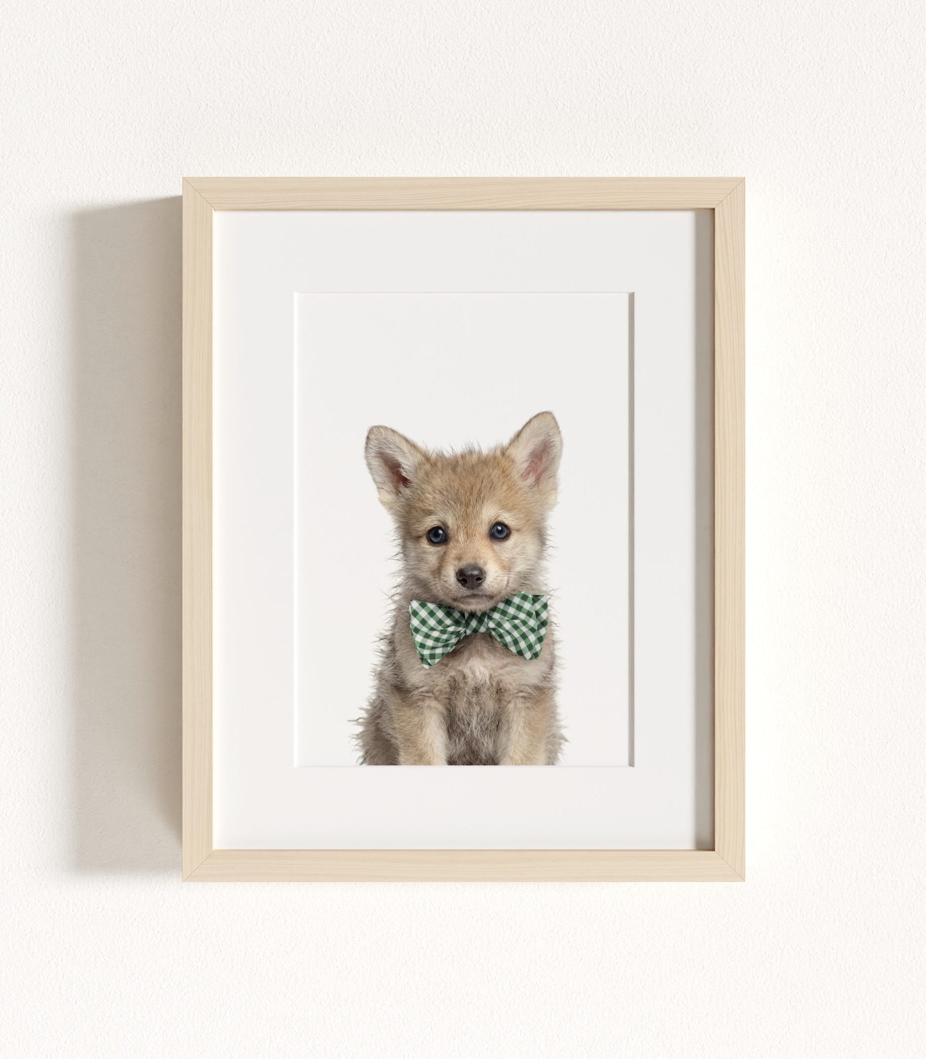 The Baby Animals 2026 Collection - Bow Ties