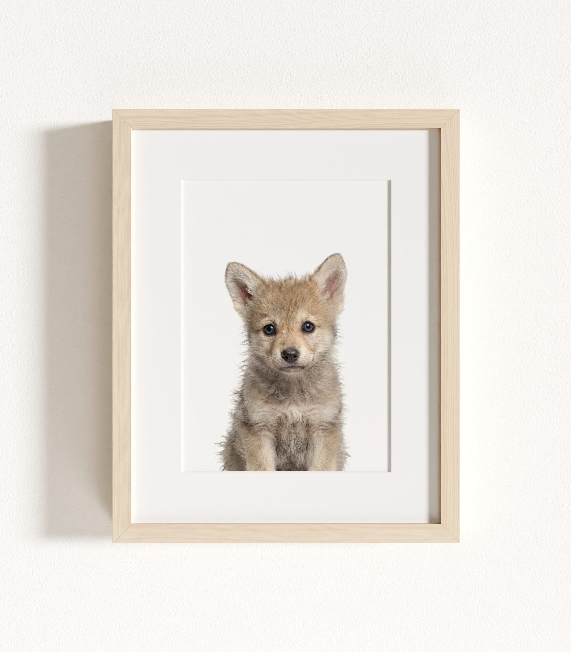 The Baby Animals 2026 Collection - Classic