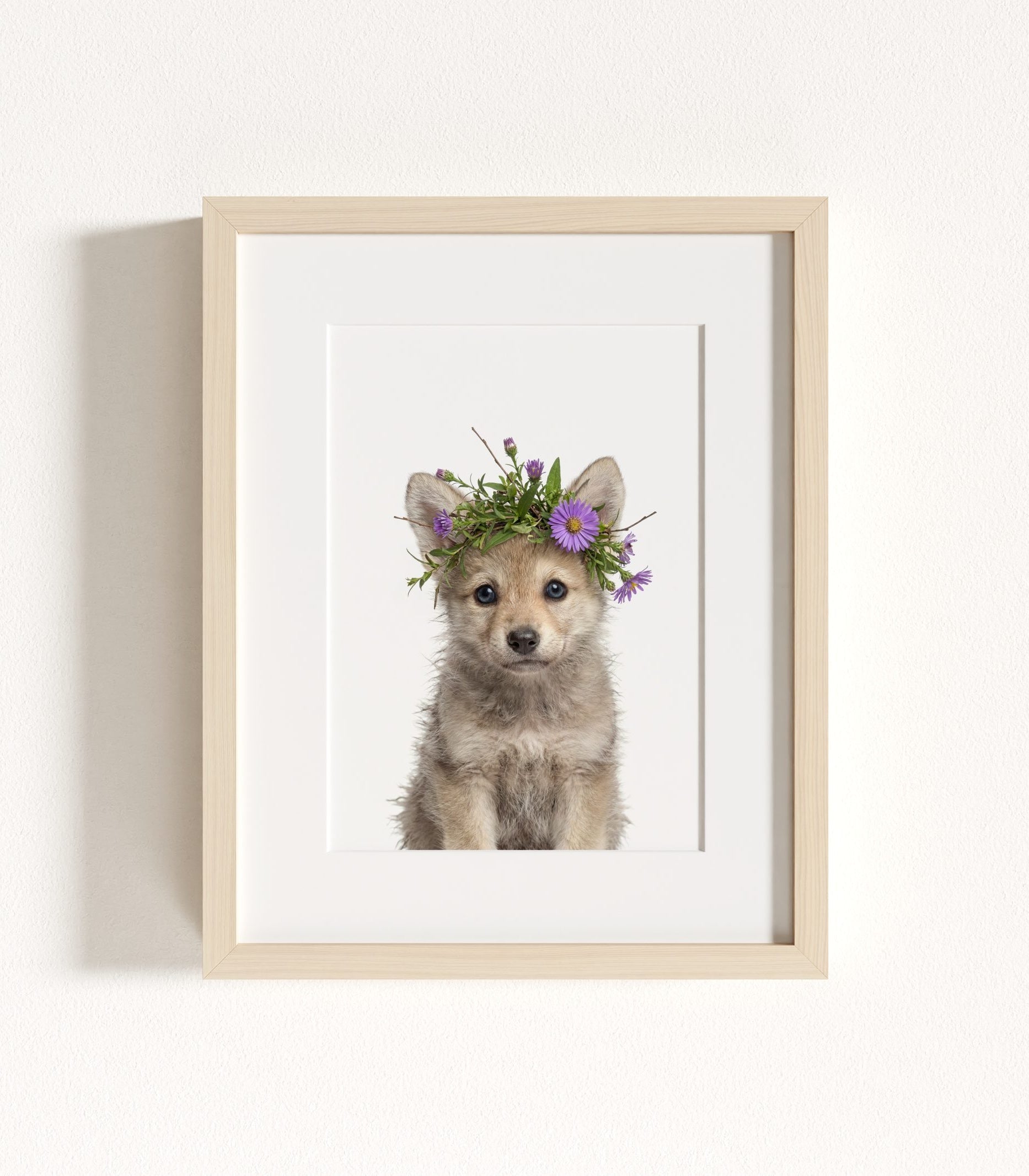 The Baby Animals 2026 Collection - Flower Crowns