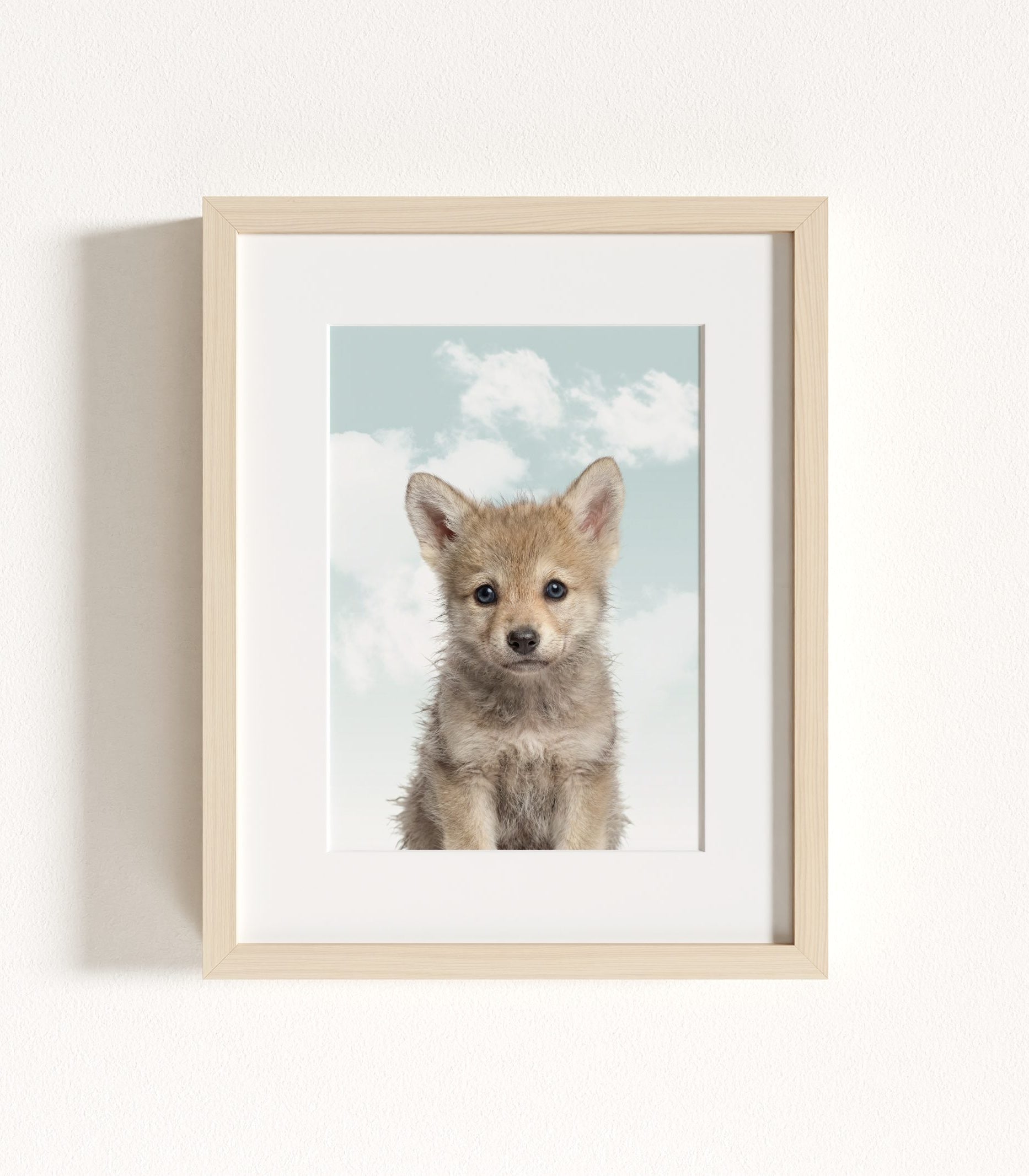 The Baby Animals 2026 Collection - Blue Skies