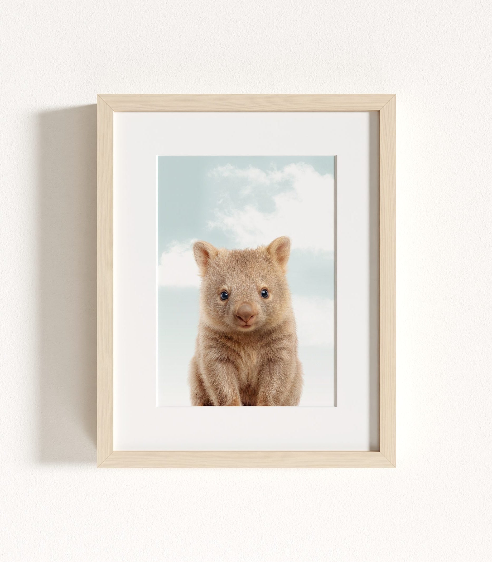The Baby Animals 2026 Collection - Blue Skies