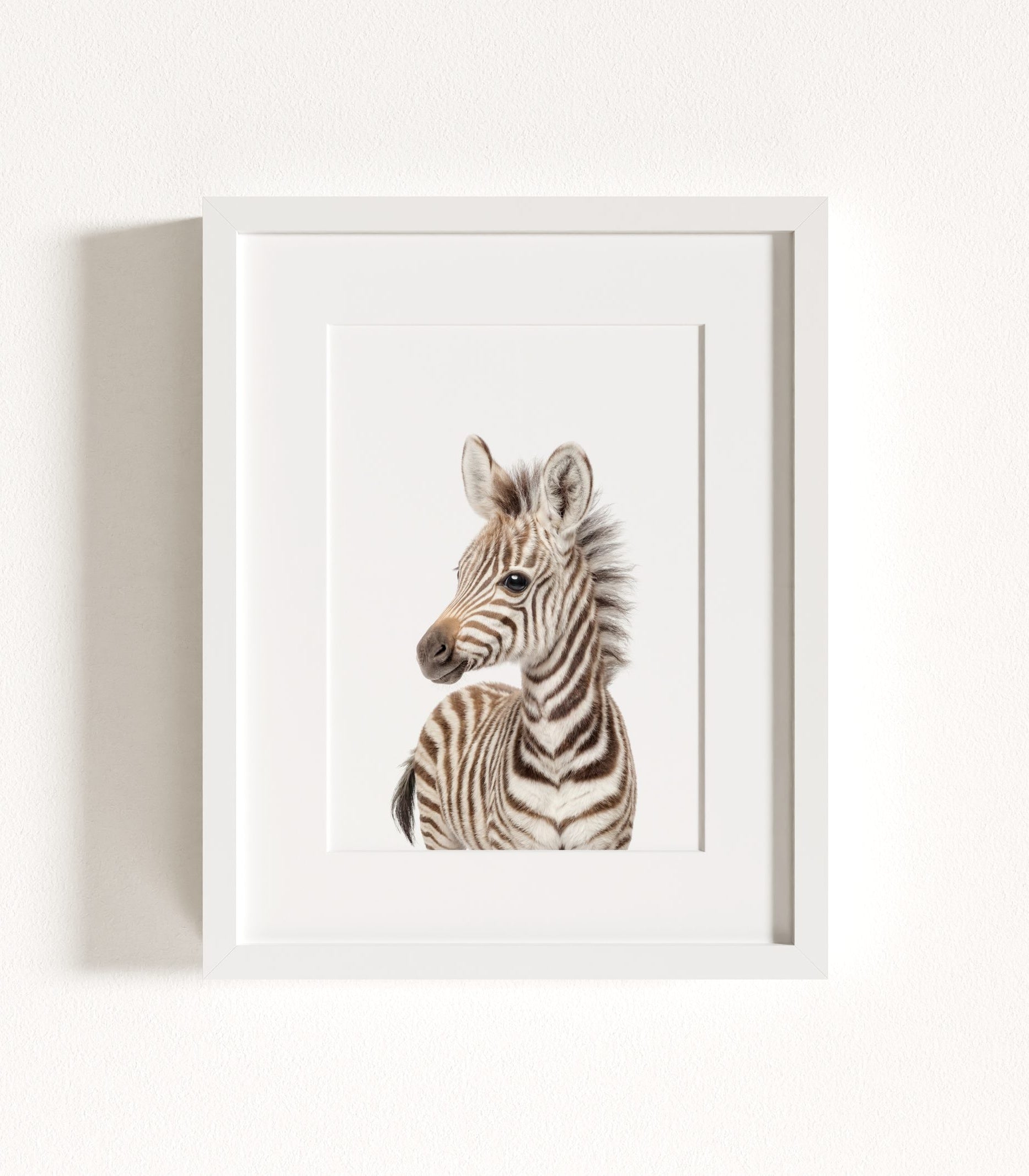 The Baby Animals 2026 Collection