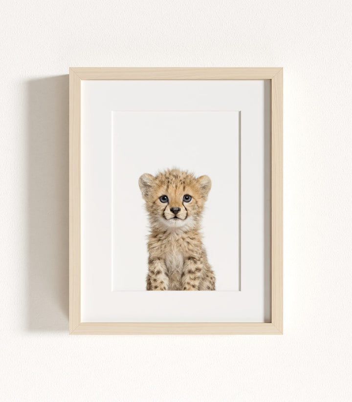 Baby Safari Animals Nursery Decor - African Animals Set of 6 Prints