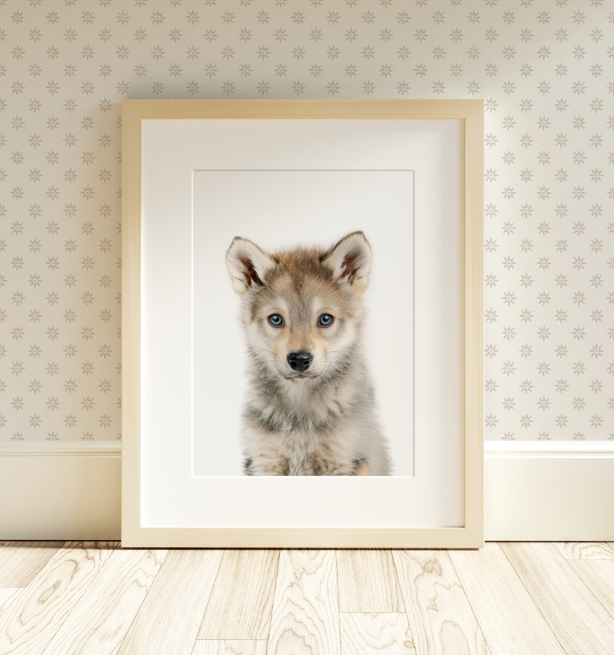 The Baby Animals 2026 Collection - Classic