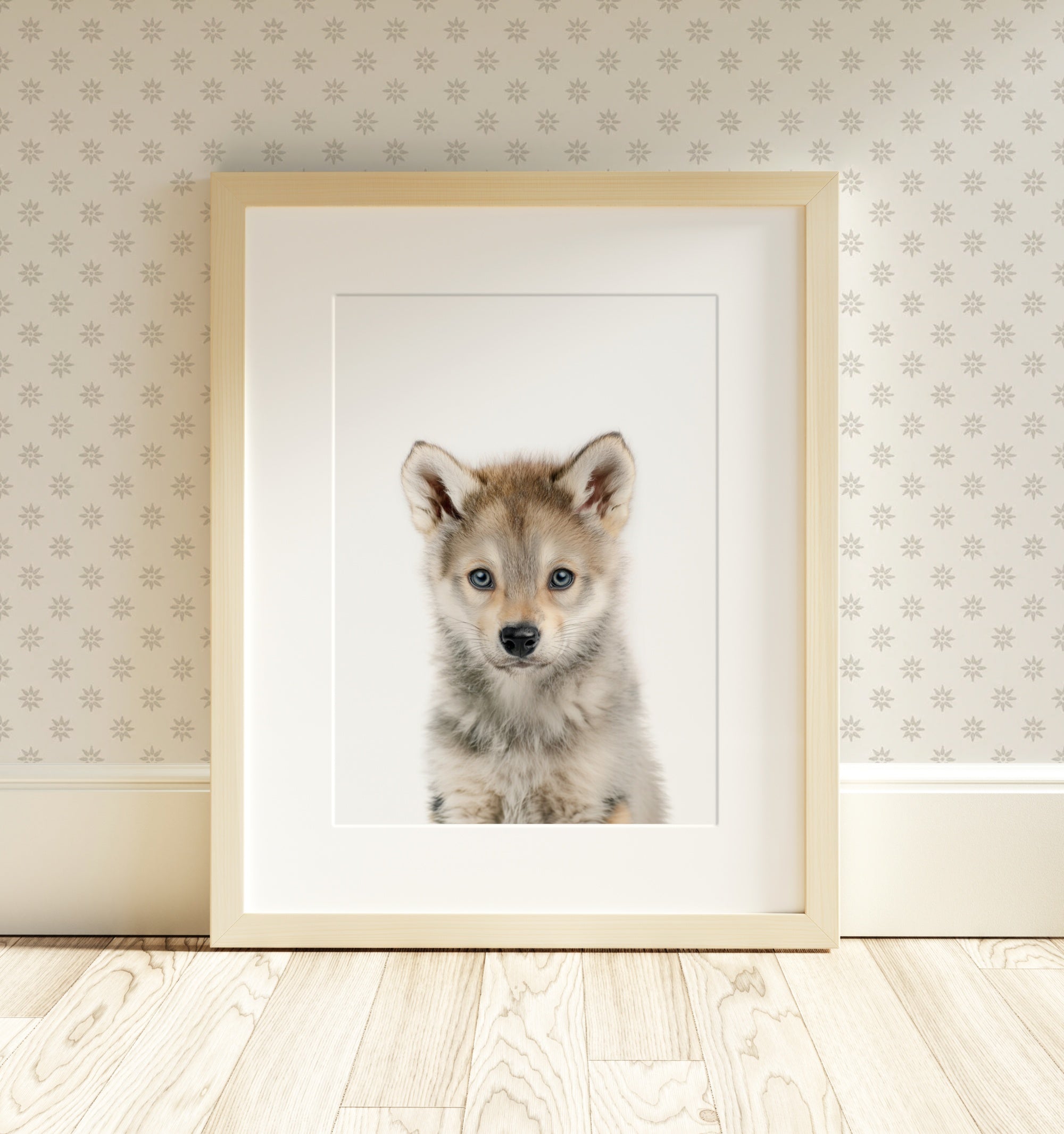 The Baby Animals 2026 Collection - Classic