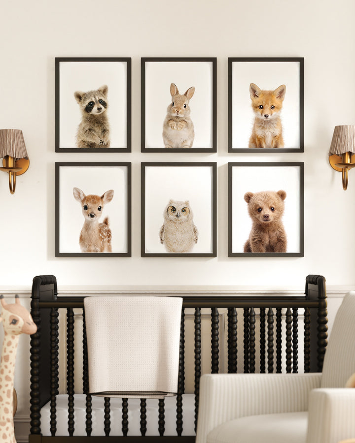 Woodland Animals Set of 6 Nursery Art Prints