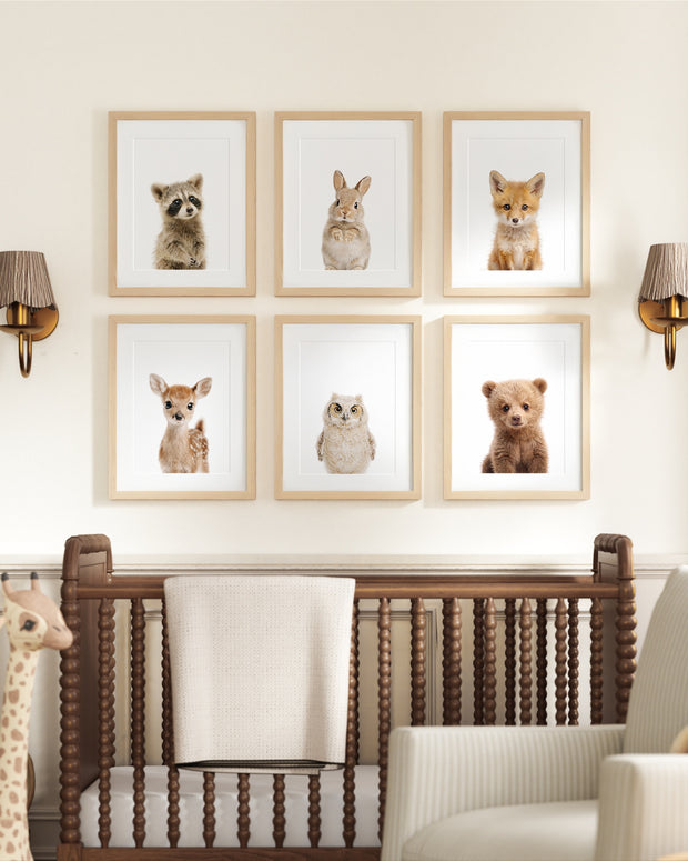 Woodland Animals Set of 6 Nursery Art Prints