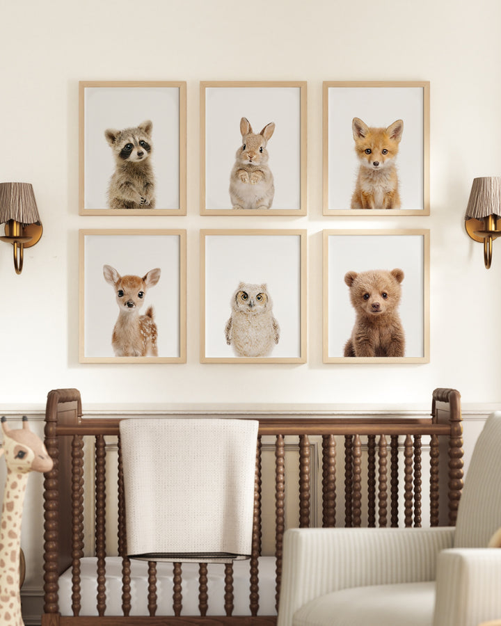 Woodland Animals Set of 6 Nursery Art Prints