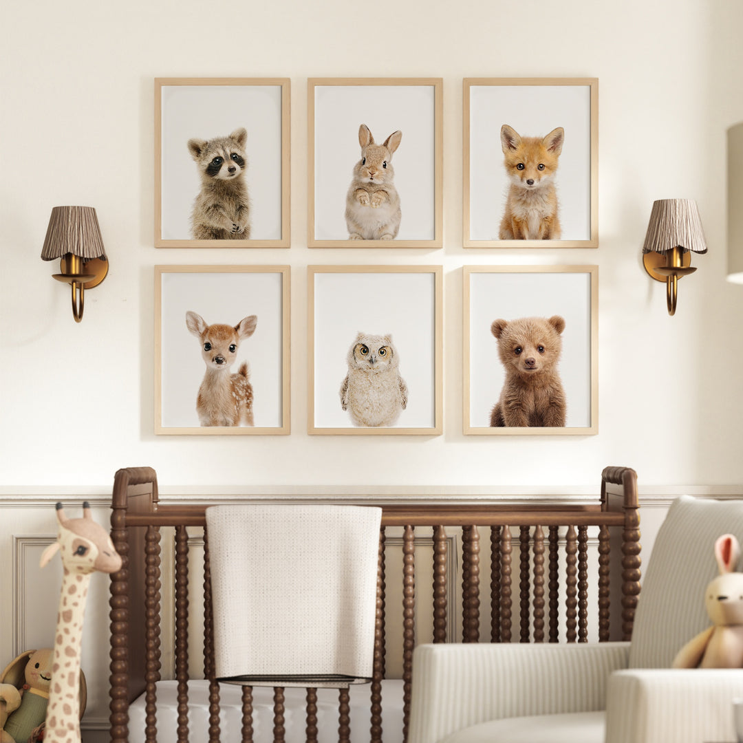 Woodland Animals Set of 6 Nursery Art Prints