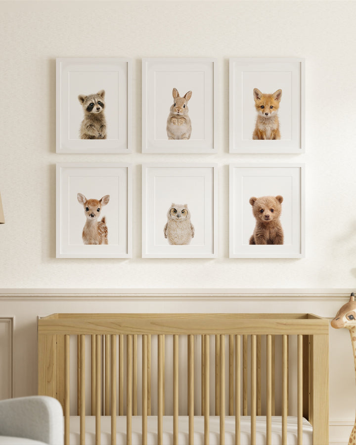 Woodland Animals Set of 6 Nursery Art Prints