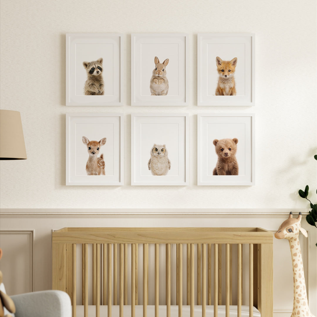 Woodland Animals Set of 6 Nursery Art Prints