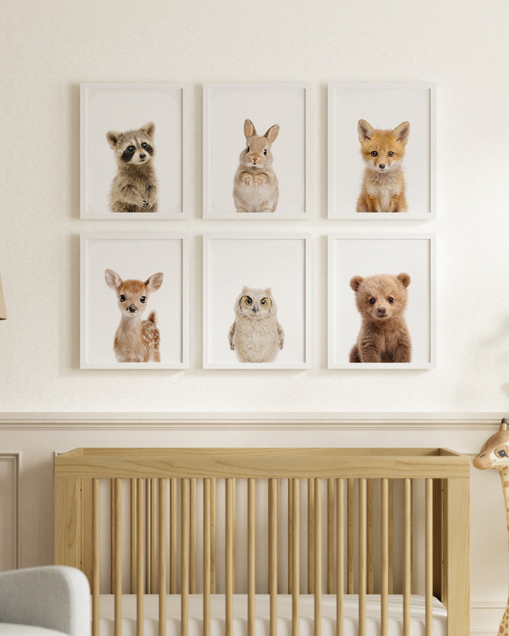 Woodland Animals Set of 6 Nursery Art Prints