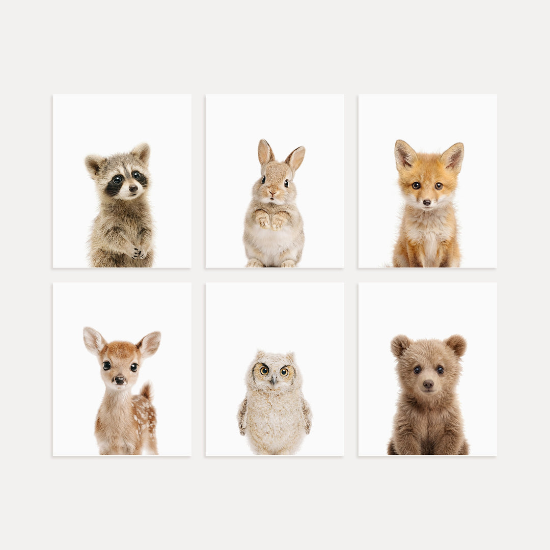 Woodland Animals Set of 6 Nursery Art Prints