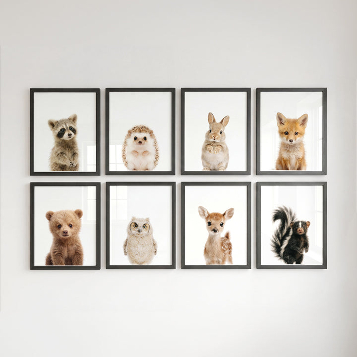 Woodland Animals Set of 8 Baby Animals Nursery Decor Art Prints