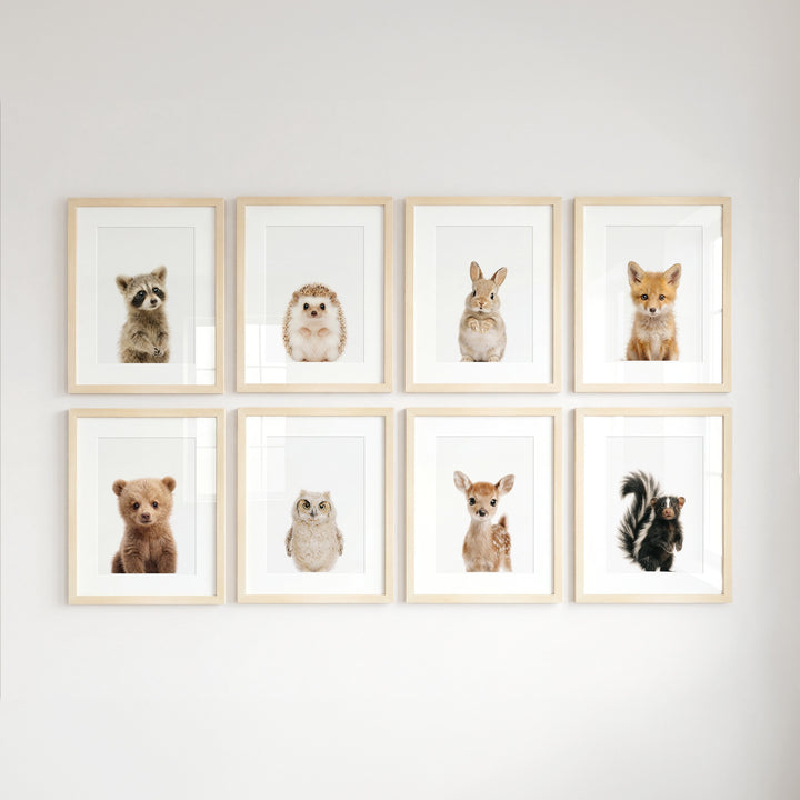 Woodland Animals Set of 8 Baby Animals Nursery Decor Art Prints