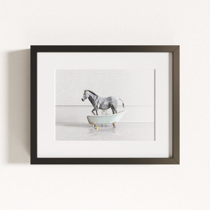 Zebra in Blue Bathtub