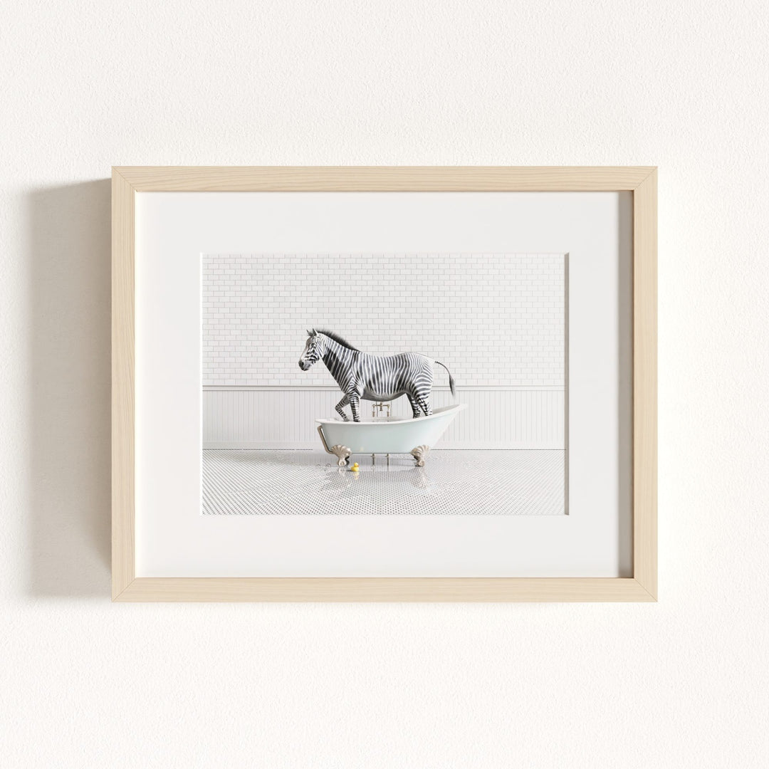 Zebra in Blue Bathtub