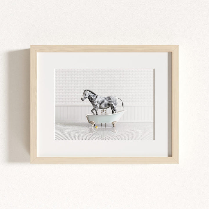 Zebra in Blue Bathtub