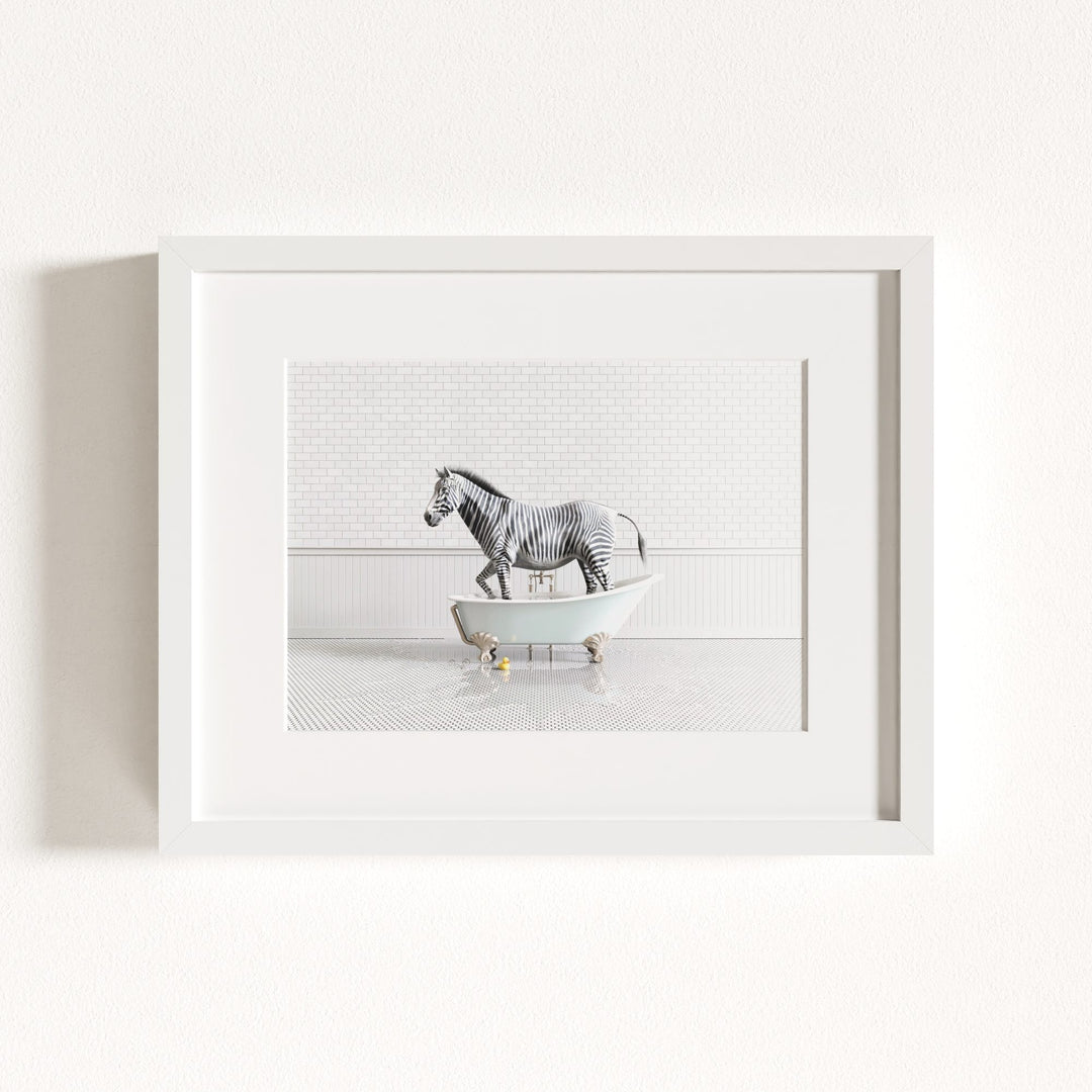 Zebra in Blue Bathtub