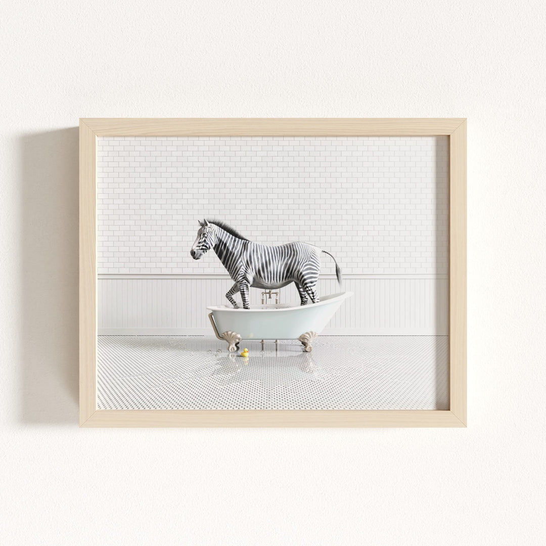 Zebra in Blue Bathtub