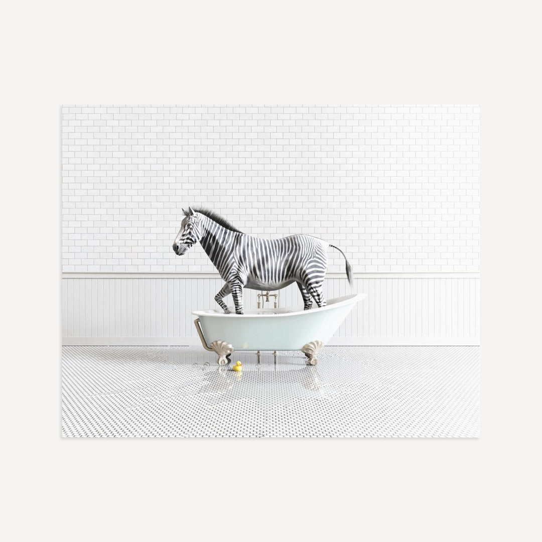 Zebra in Blue Bathtub