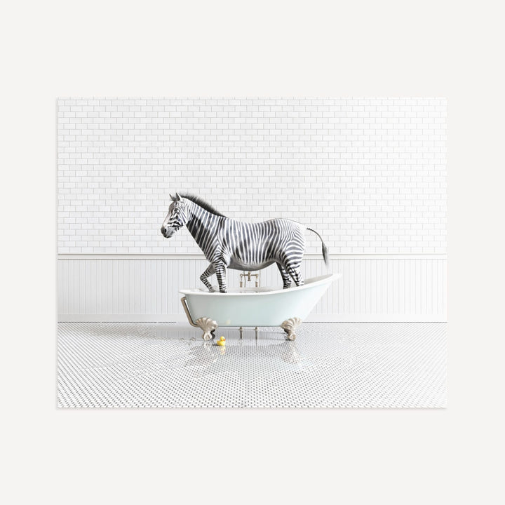 Zebra in Blue Bathtub